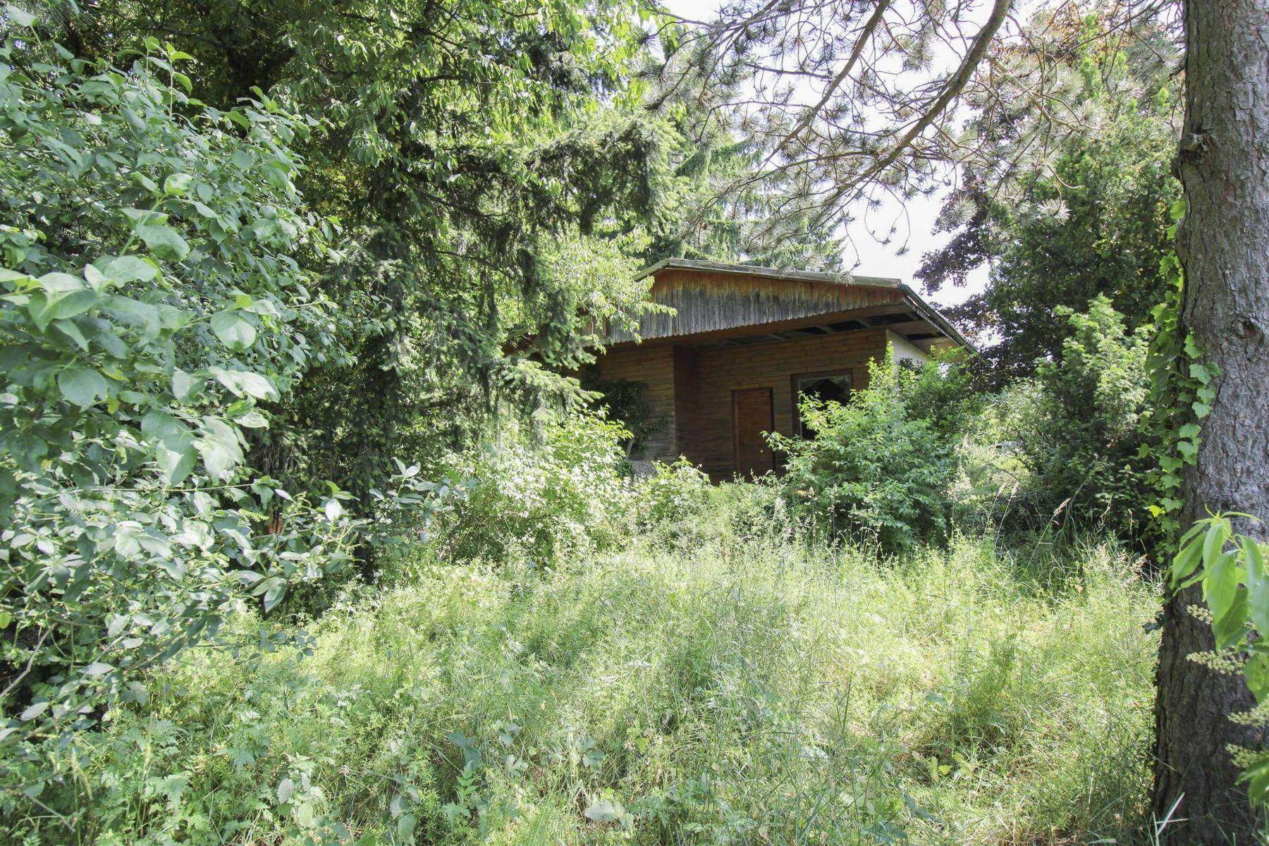 07_Blick vom unteren Grundstu¨cksteil
