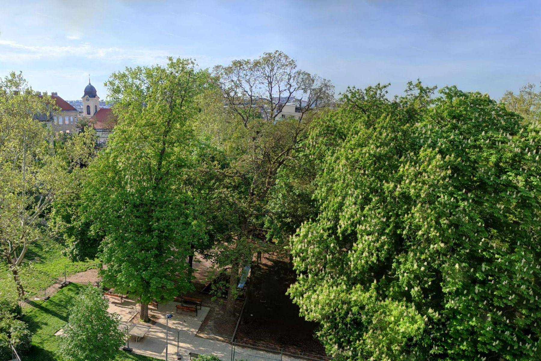 Dadlerpark