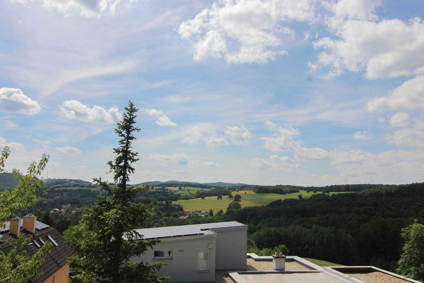 Ausblick