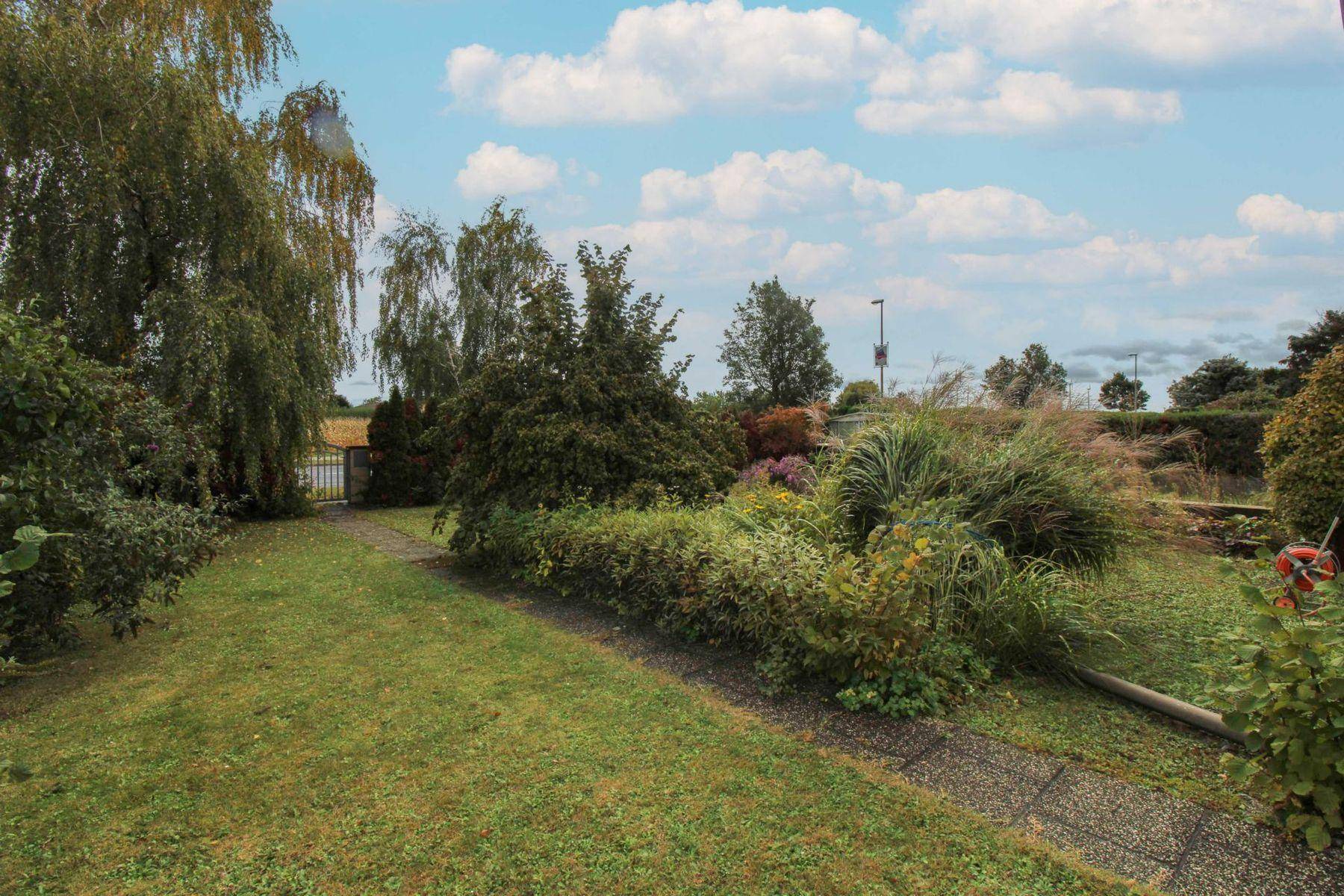 13_Garten