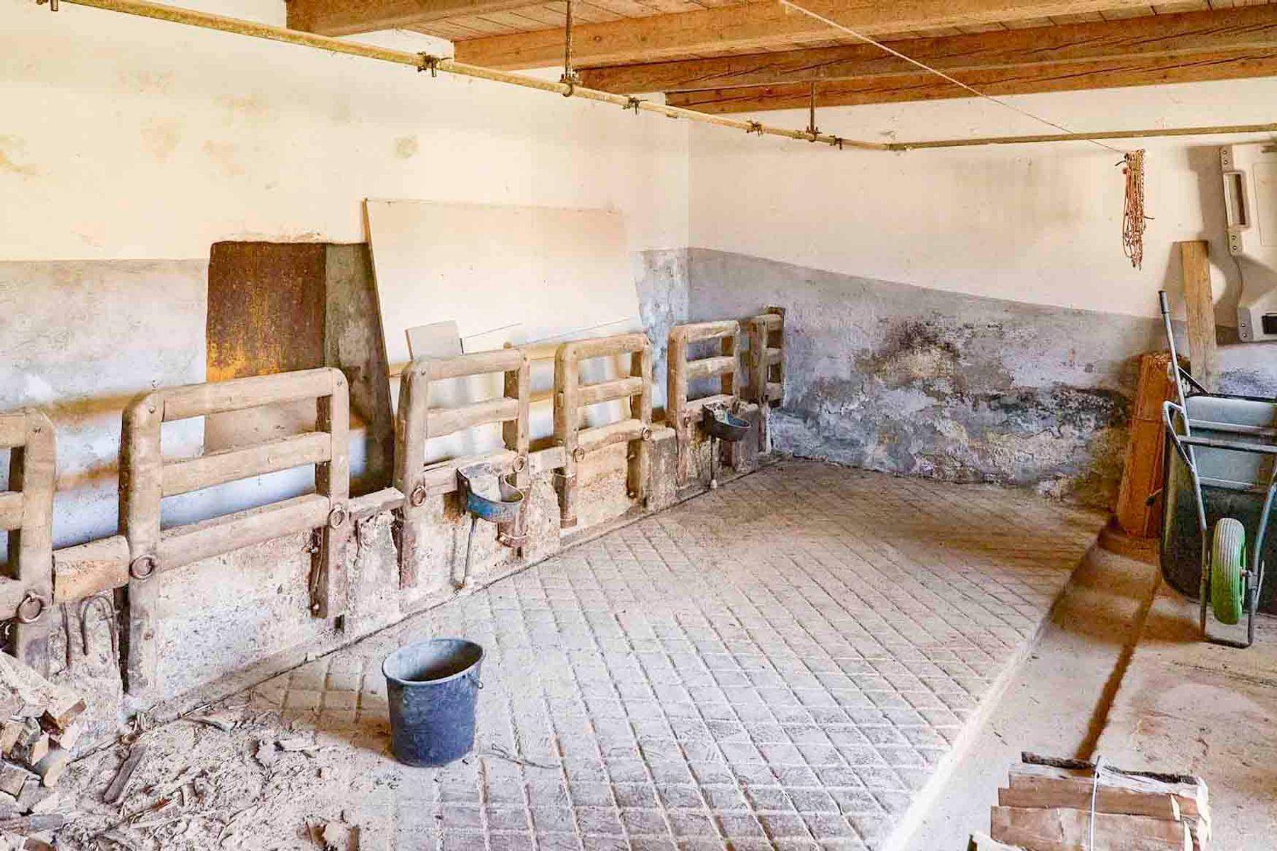 Alter Stallbereich mit Holzbalken, Futterkrippen und abgenutztem Betonboden, der Renovierung benötigt.