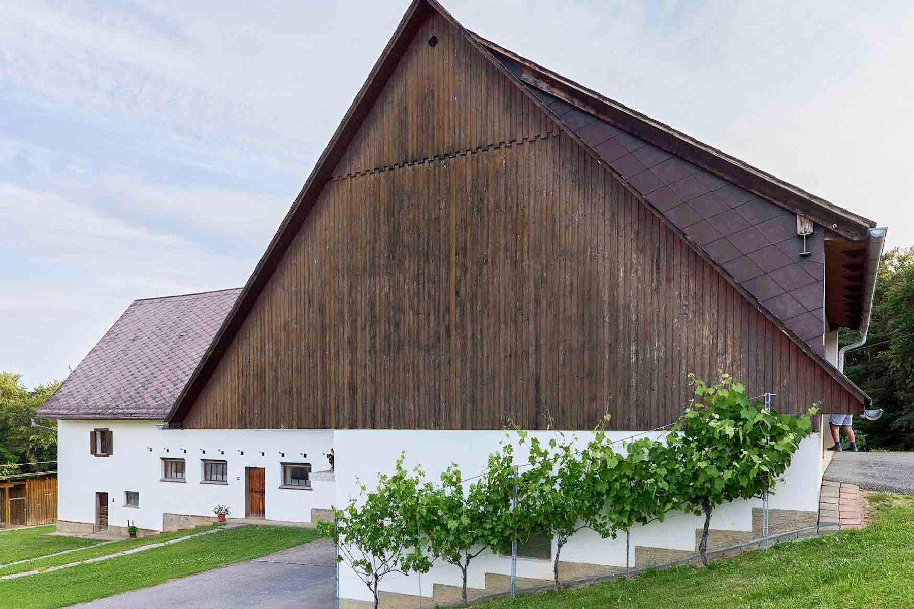 Ländliches Gebäude mit markantem Holzdach und weiß getünchter Fassade, umgeben von Grün und Reben.