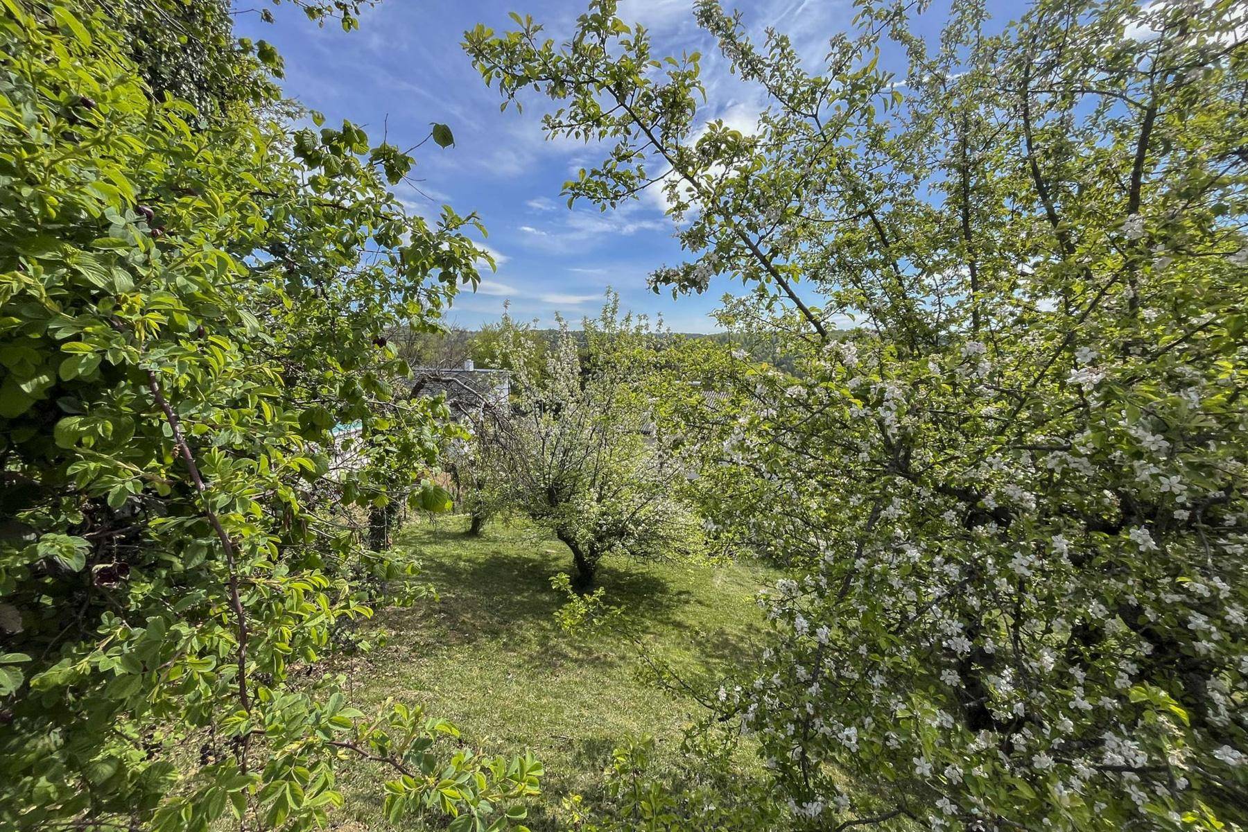 Blick durch blühende Bäume auf ein Haus und die weite grüne Landschaft unter blauem Himmel.