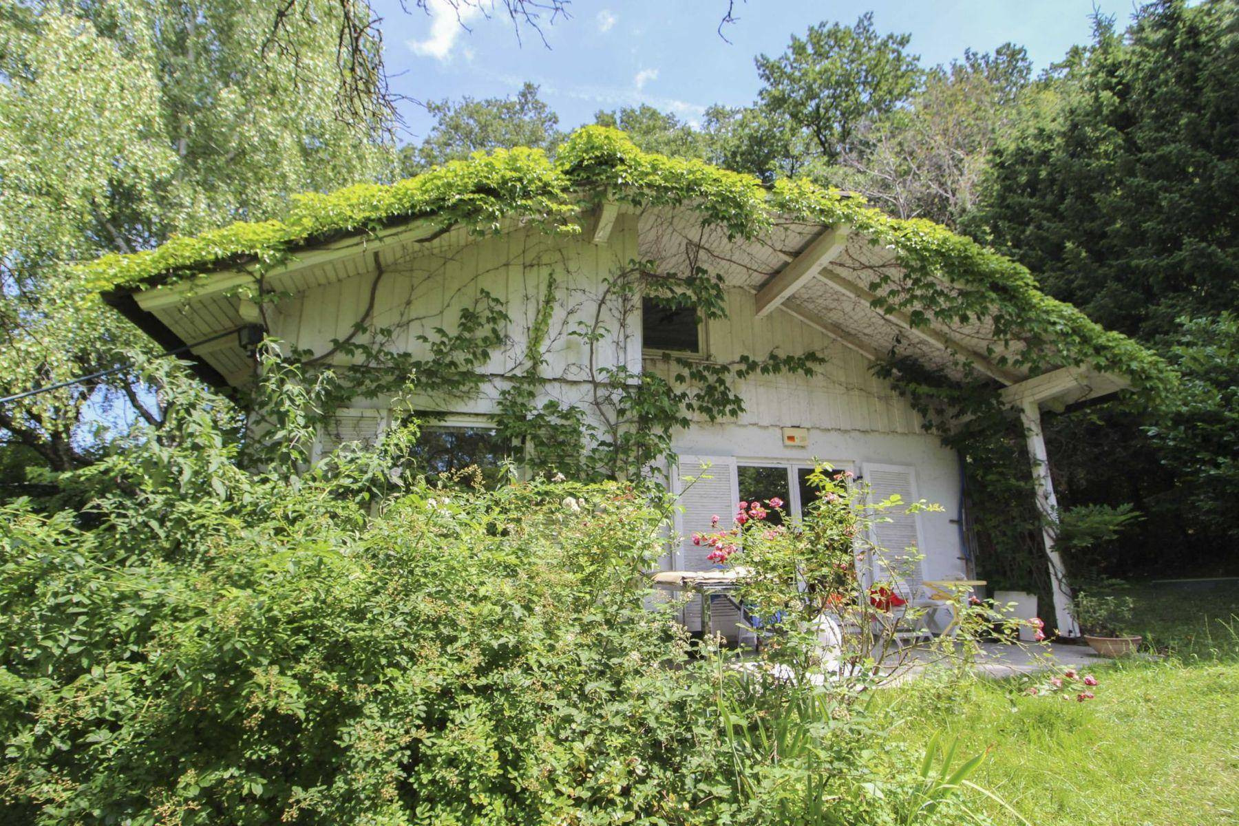 Malerisches, von Efeu bewachsenes Haus, eingebettet in üppiges Grün.