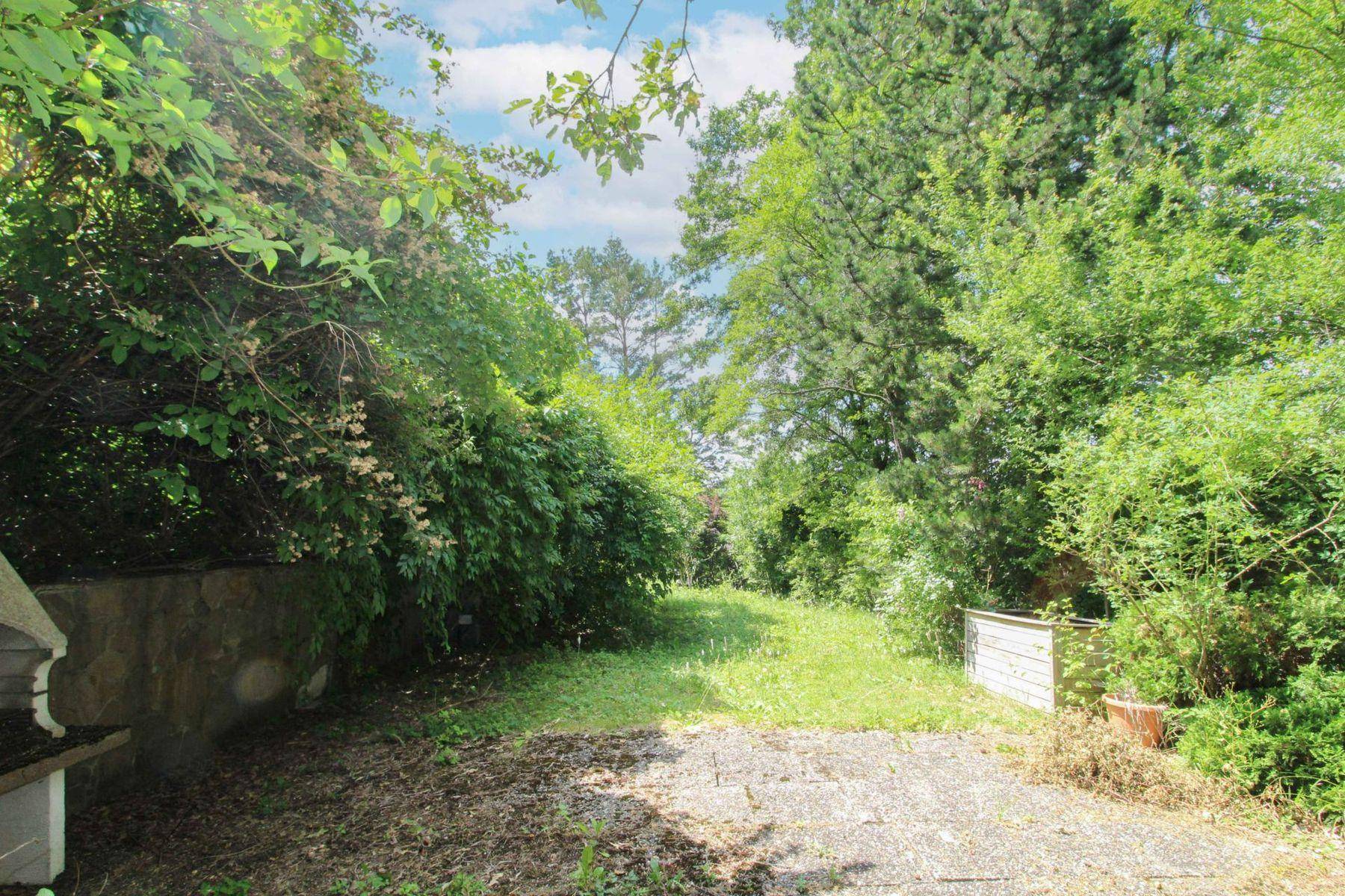 Naturbelassener Gartenbereich mit Bäumen und Sträuchern, ideal für Gartenliebhaber.