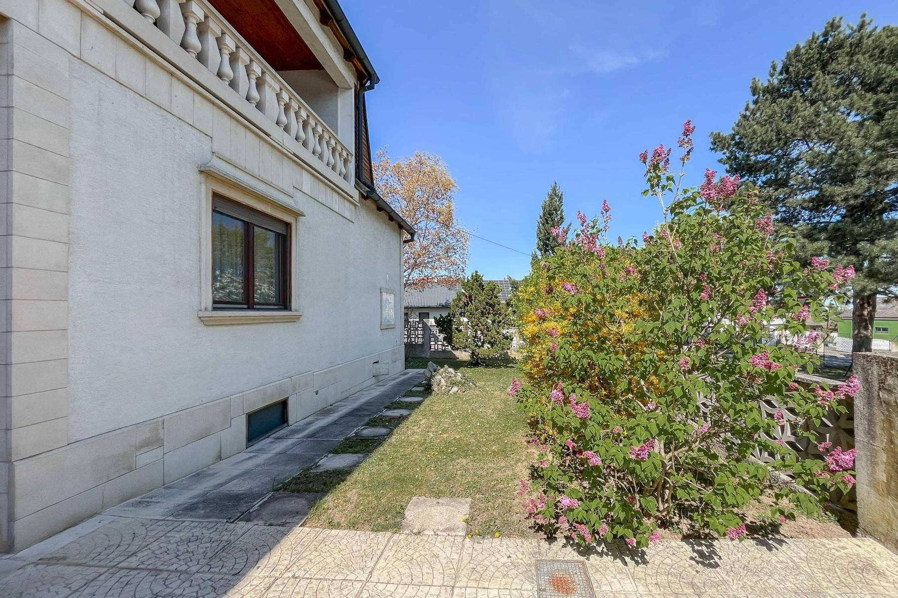 Seitlicher Gartenbereich mit Rasenfläche, blühenden Sträuchern und Zugang zum Haus.