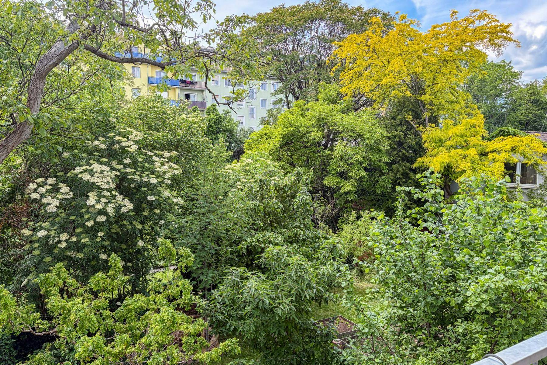 Üppige grüne Bäume und Sträucher bieten einen natürlichen und beruhigenden Ausblick aus der Wohnung.
