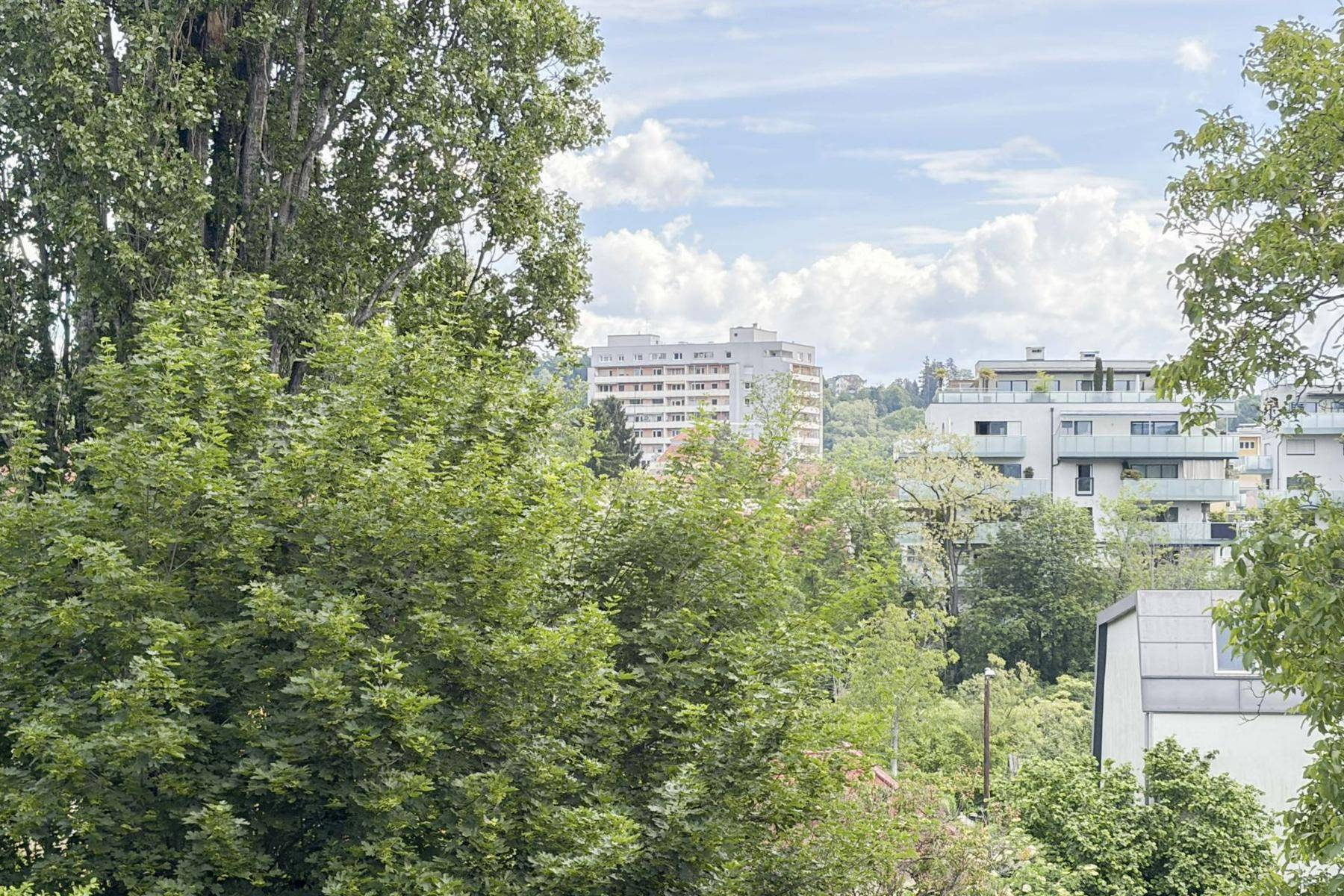 Grüne Aussicht mit Bäumen und Gebäuden im Hintergrund unter blauem Himmel.