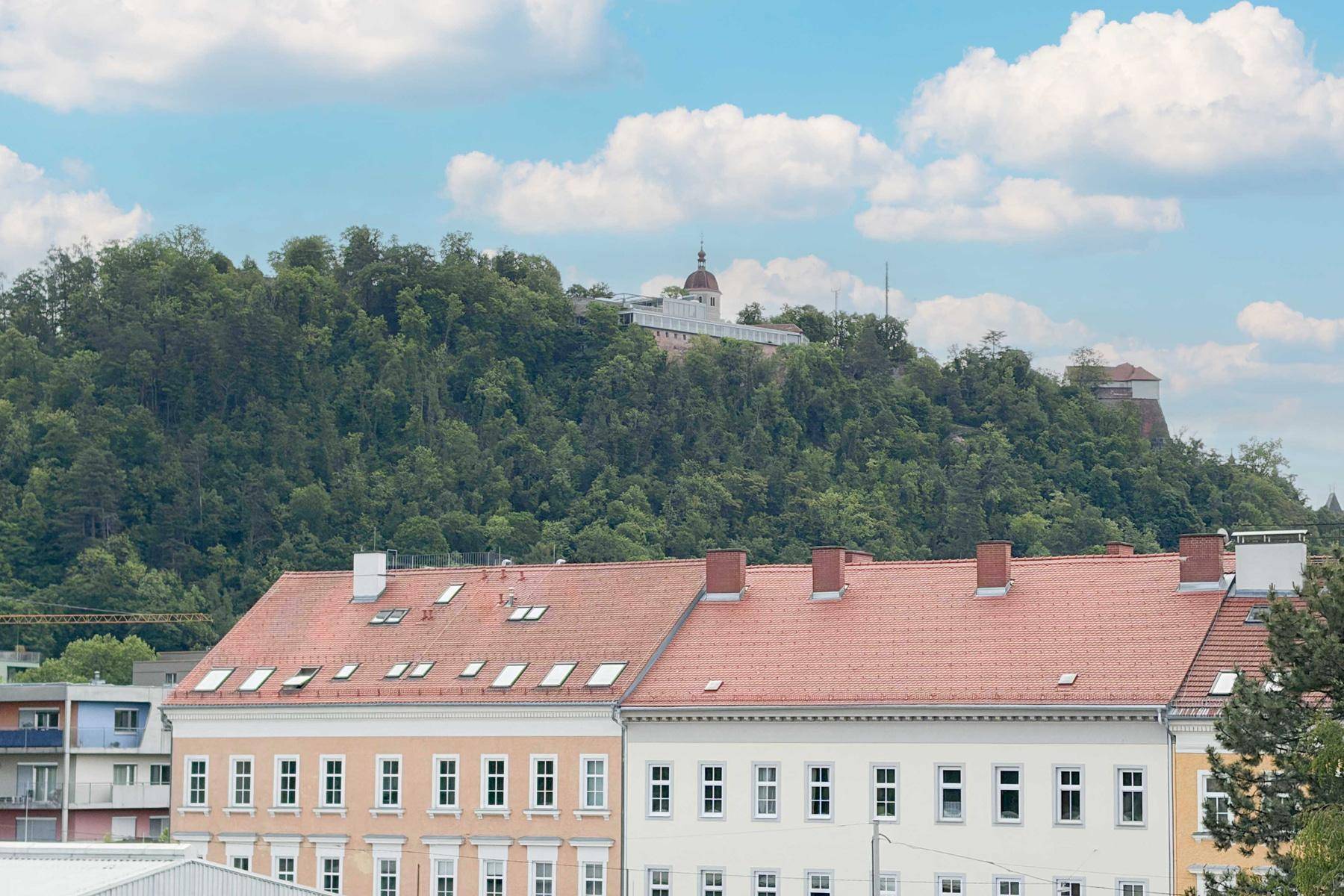 Panoramablick auf eine bewaldete Anhöhe mit einem Gebäude und Dächern im Vordergrund.