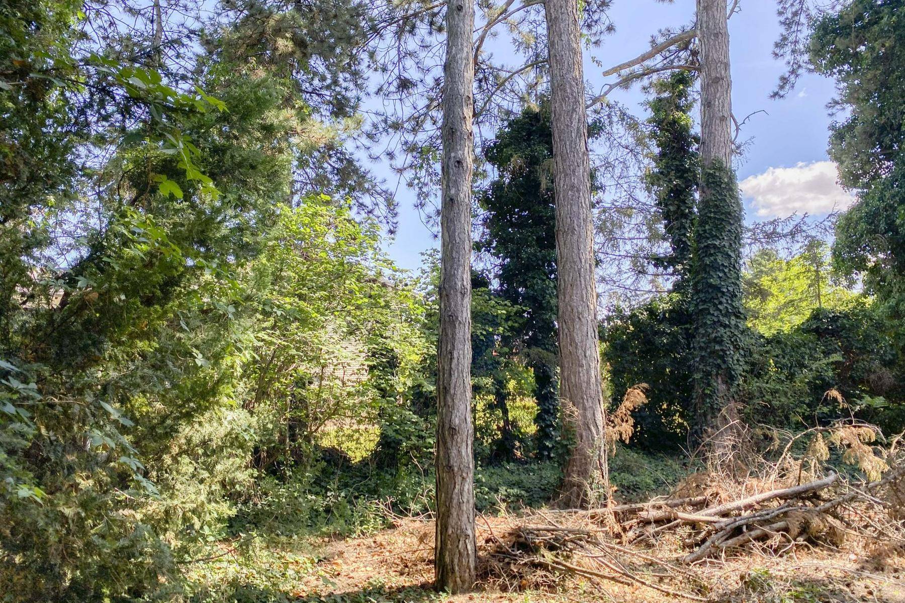 Idyllisches Grundstück in ruhiger Lage mit altem Baumbestand – pohled 5