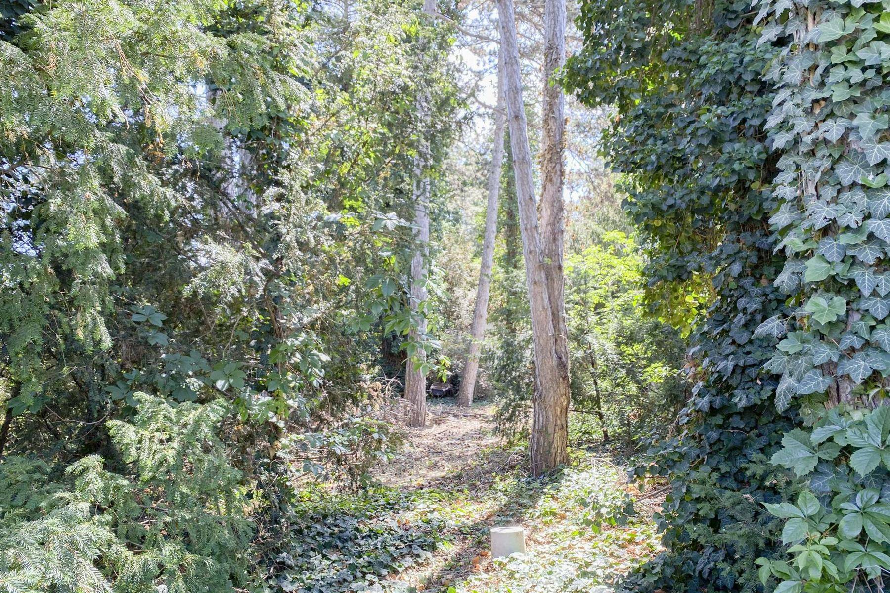 Idyllisches Grundstück in ruhiger Lage mit altem Baumbestand – pohled 2