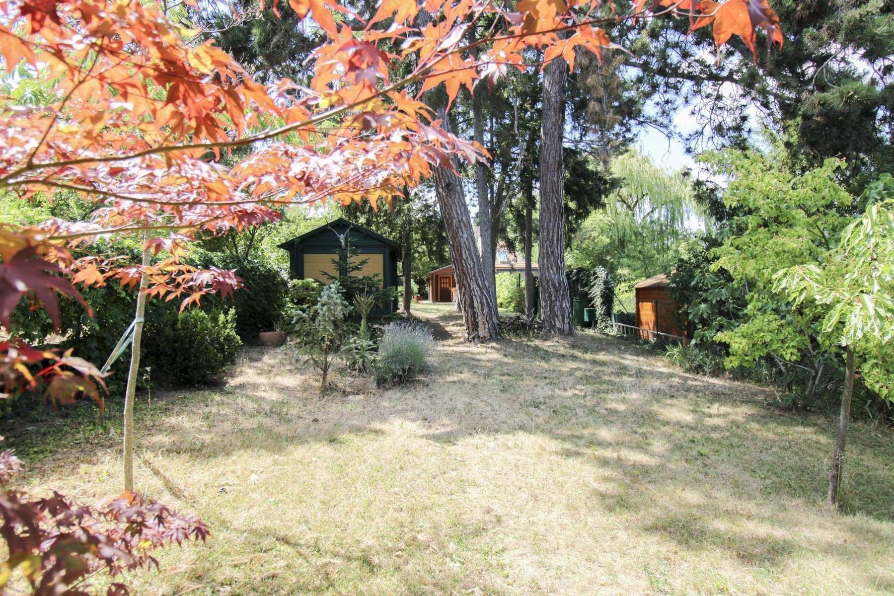 Naturbelassener Garten mit alten Bäumen, viel Grün und kleinen Gartenhäusern im Hintergrund.