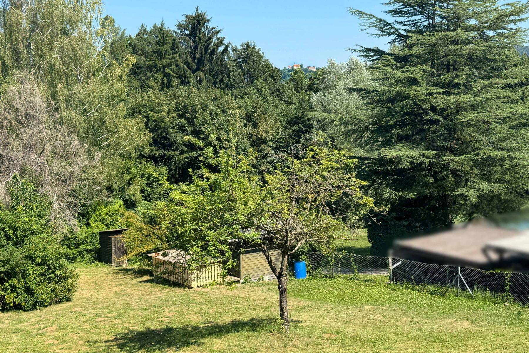 Weitläufiger Gartenbereich mit verschiedenen Bäumen und einem kleinen Schuppen.