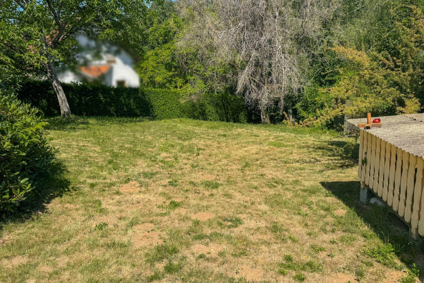 Offene Rasenfläche umgeben von Bäumen und Hecken, mit einem Gartenhaus im Hintergrund.
