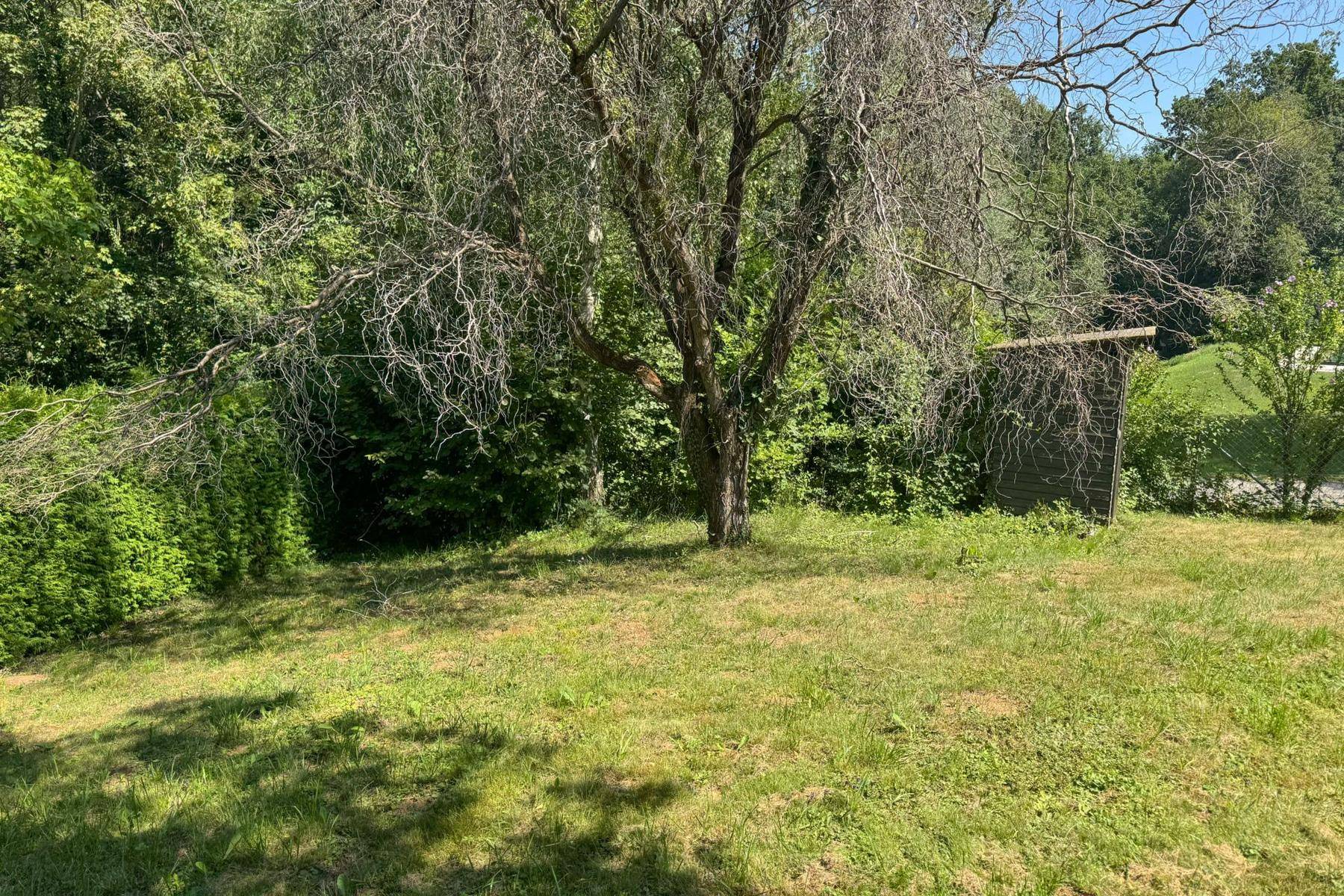 Naturbelassener Gartenbereich mit einem großen Baum und einem kleinen Holzschuppen.