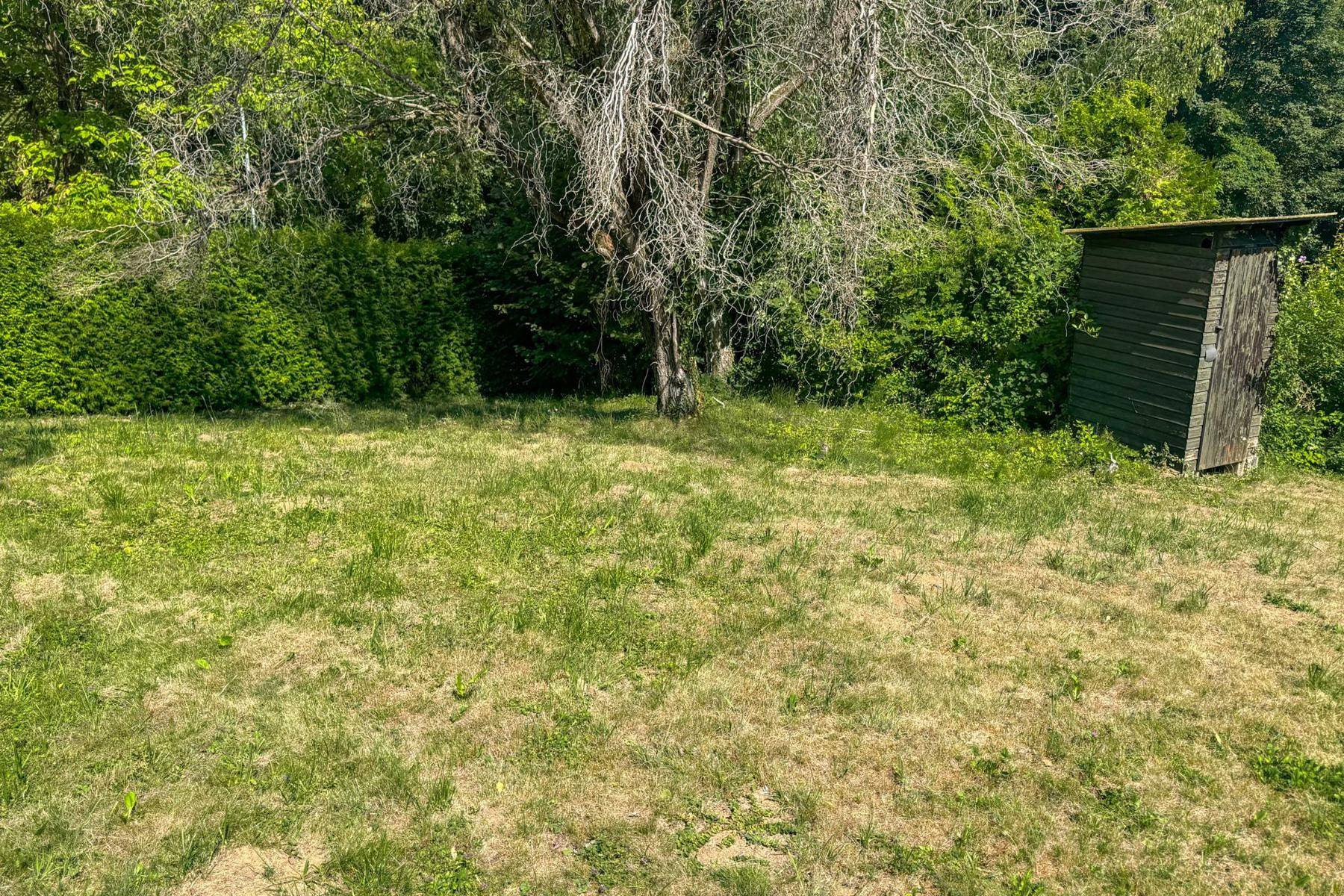 Grüne Rasenfläche mit einer hohen Hecke und einem kleinen Holzschuppen am Rand.