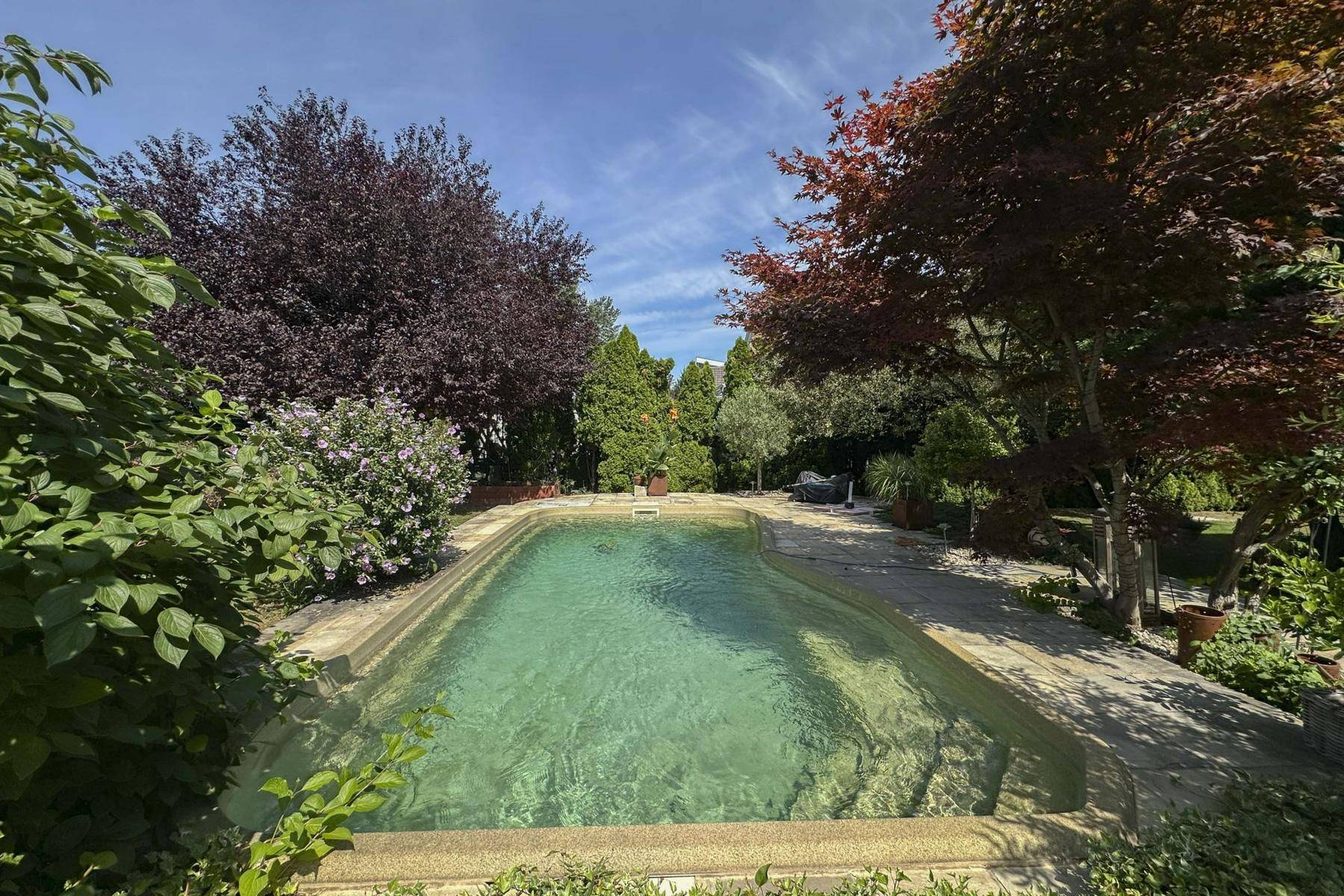 Großer Garten mit Pool, umgeben von Bäumen und viel Grünfläche.