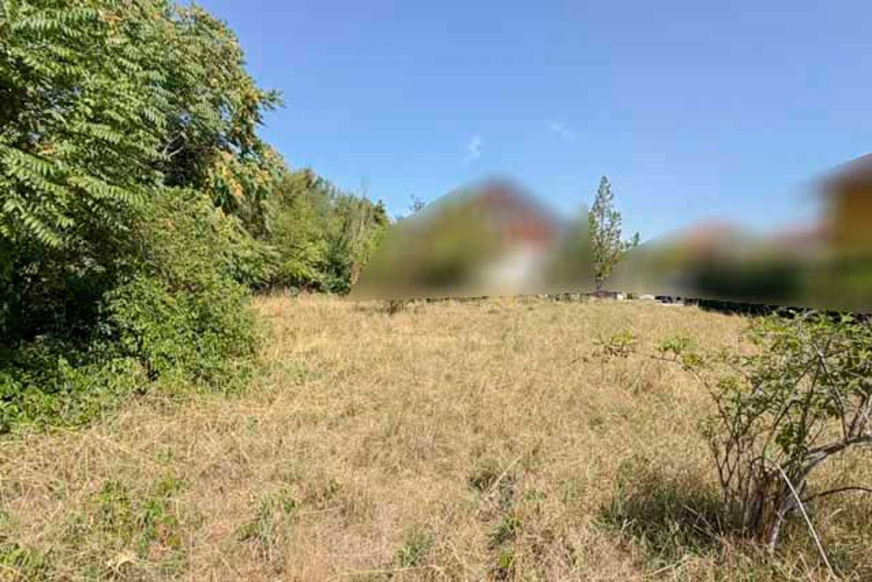 Weitläufiges Grundstück mit trockenem Gras und üppigen Bäumen, im Hintergrund verschwommene Gebäude.