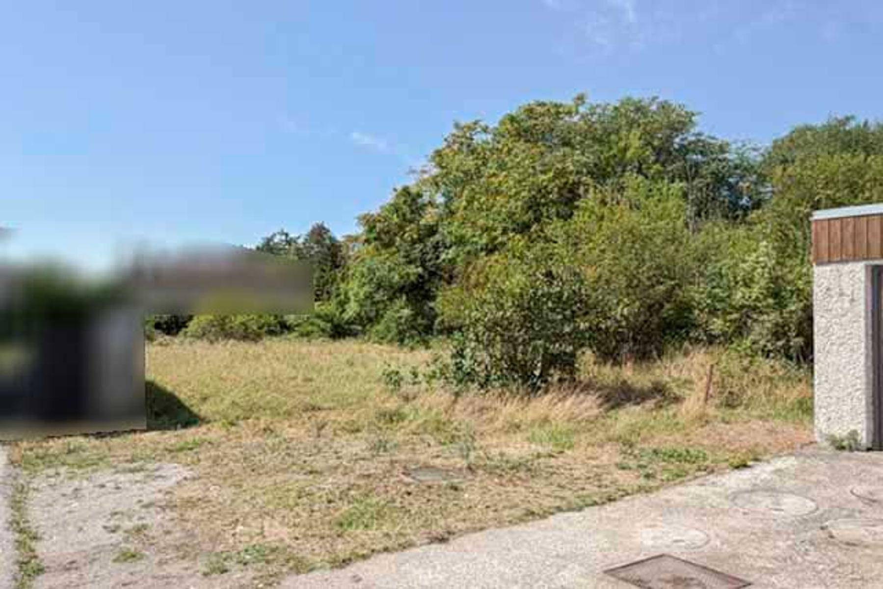 Freie Fläche mit Gras und dichter Vegetation, angrenzend an eine befestigte Fläche.