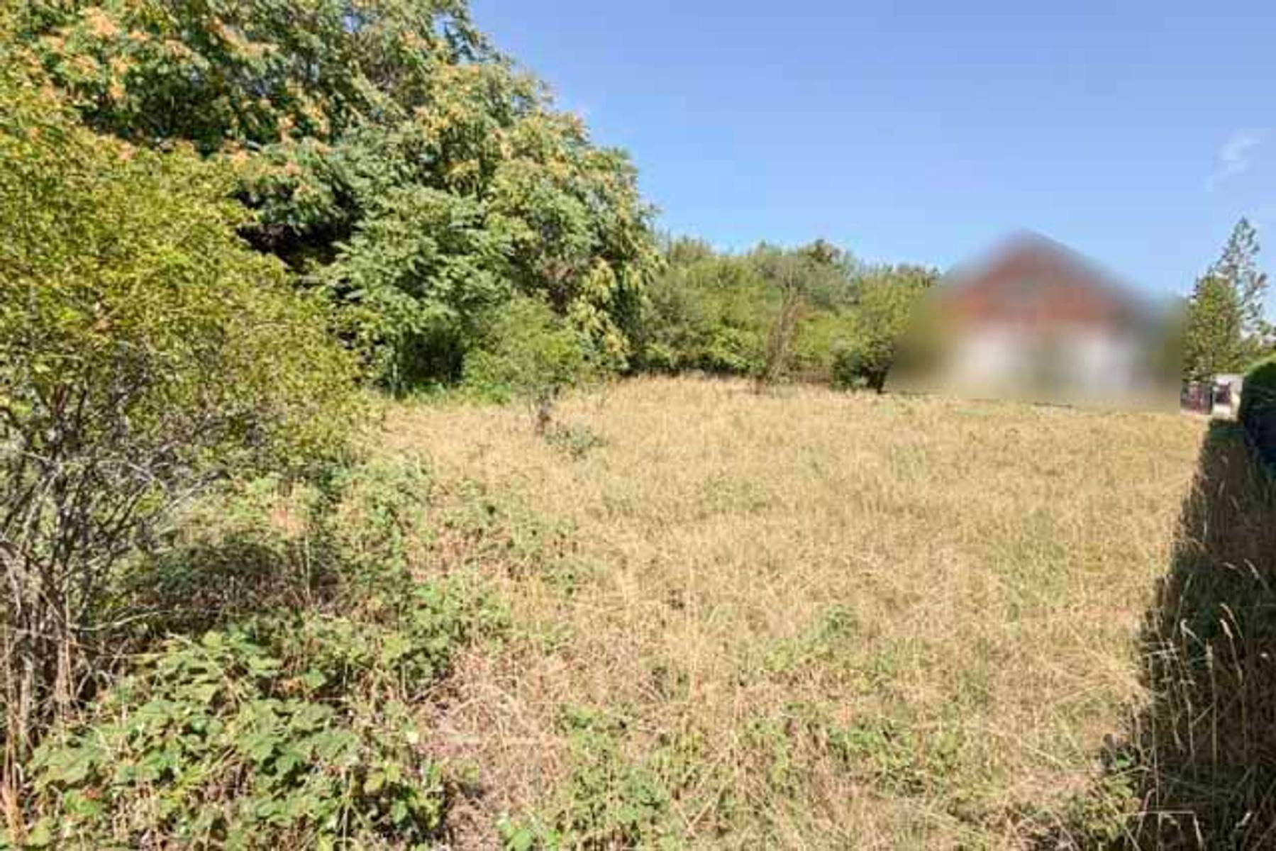 Unbebautes Grundstück mit hohem Gras und Bäumen im Hintergrund unter blauem Himmel.