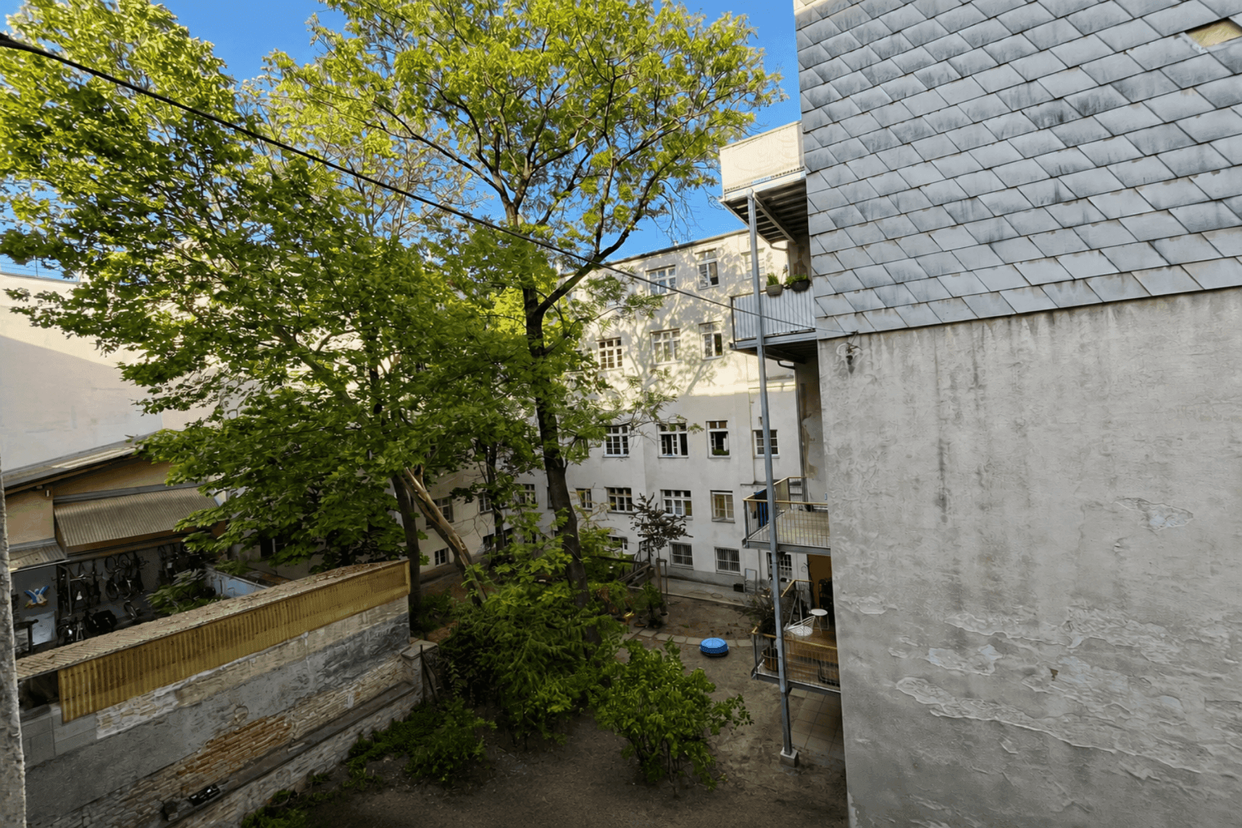 Blick auf den grünen Innenhof mit Bäumen und umliegenden Gebäuden.