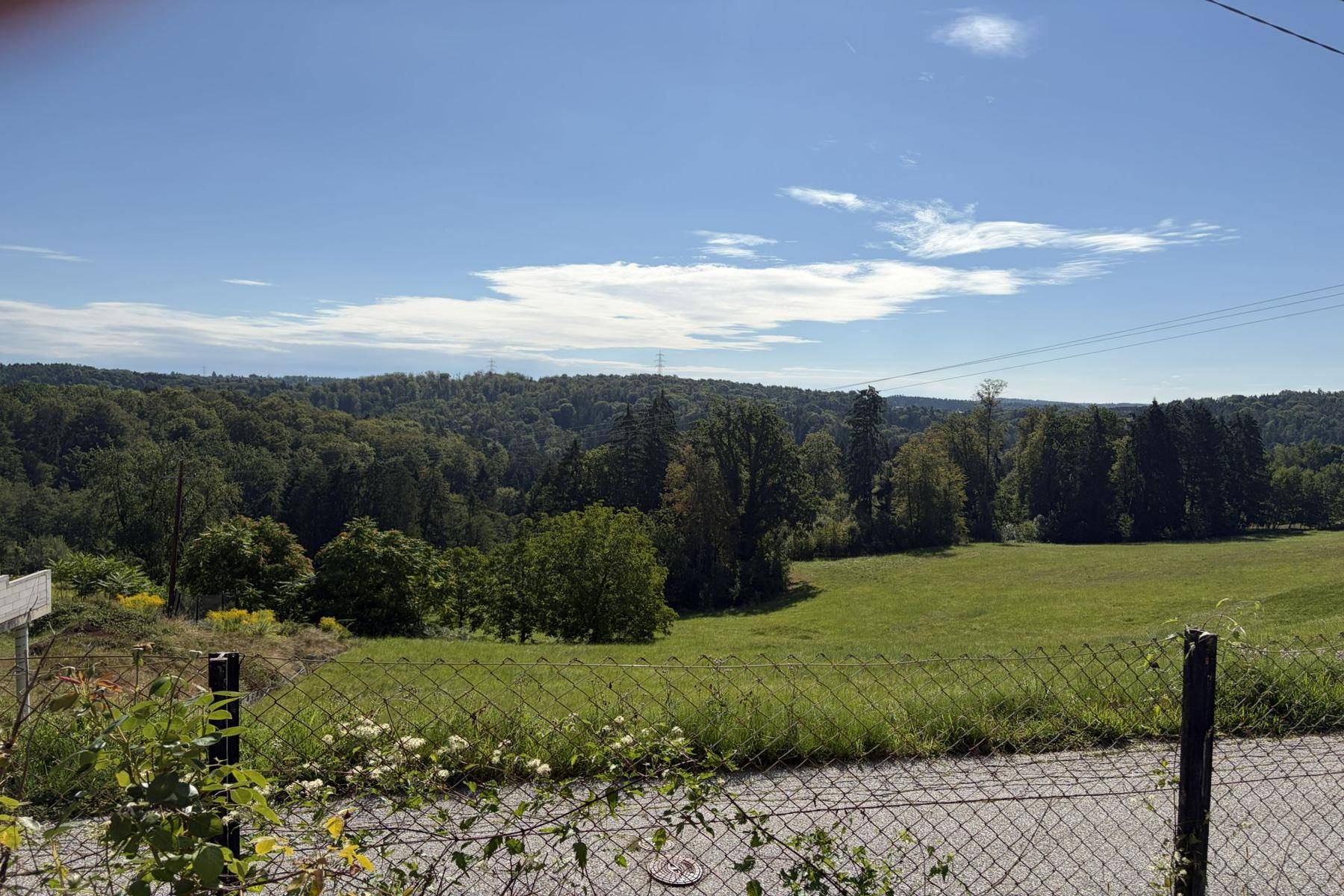 Weitläufiger Blick über grüne Felder und dichte Wälder unter einem strahlend blauen Himmel.