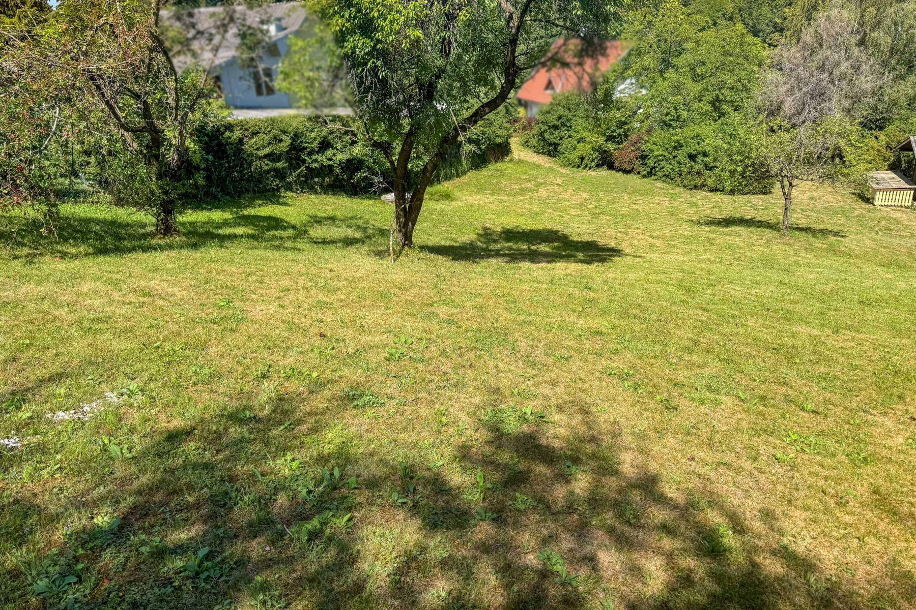 Sonnige Rasenfläche mit mehreren Bäumen und einem weiten Blick in die grüne Umgebung.