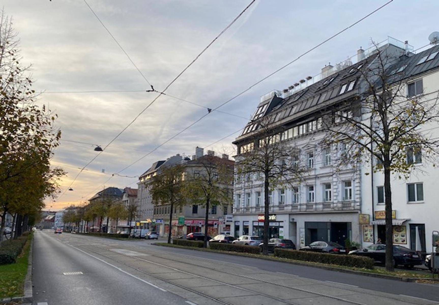 Weitläufige Stadtansicht einer belebten Straße mit Gebäuden und herbstlicher Baumreihe unter bewölktem Himmel.