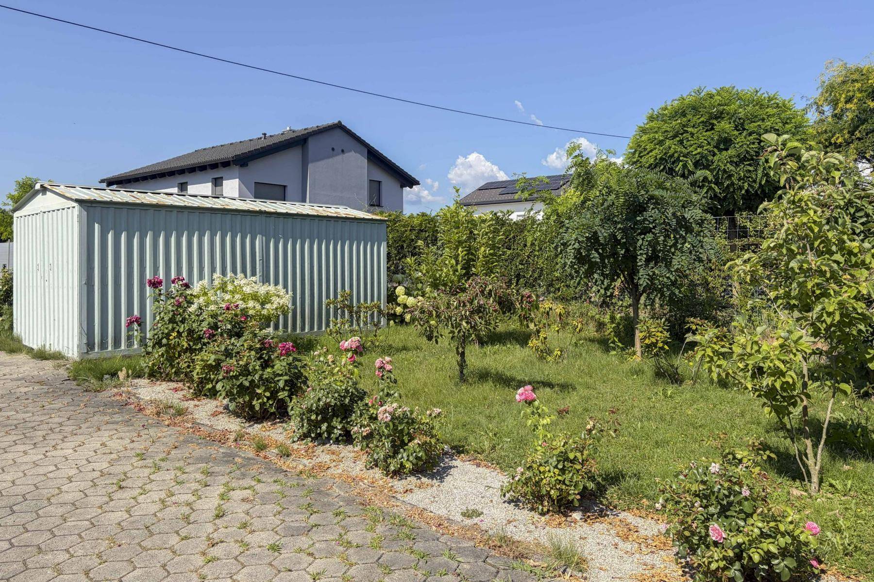 Gartenbereich mit einem Geräteschuppen, blühenden Rosen und einem gepflasterten Weg.