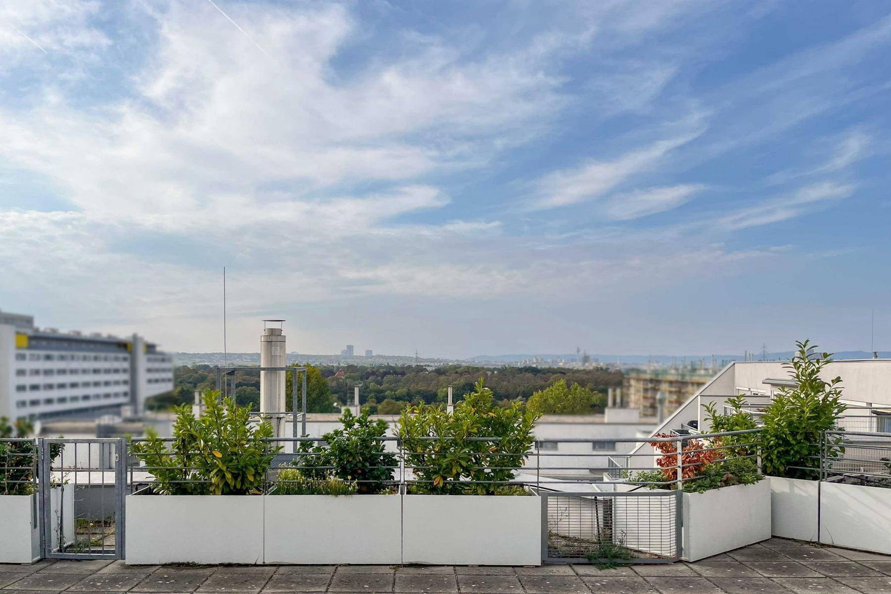 Ausblick Gemeinschaftsdachter