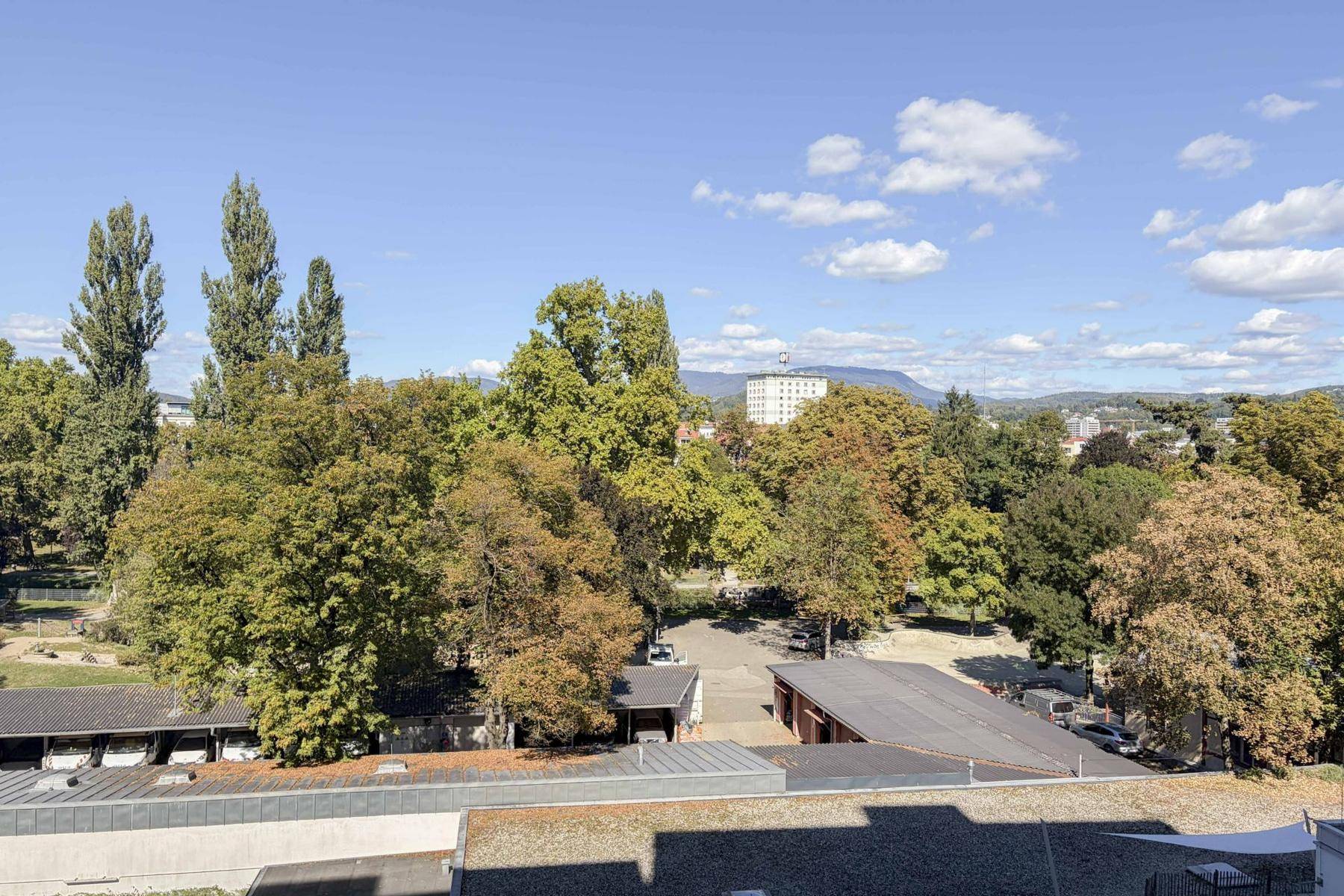 Weitläufiger Blick auf grüne Bäume und umliegende Gebäude unter blauem Himmel.