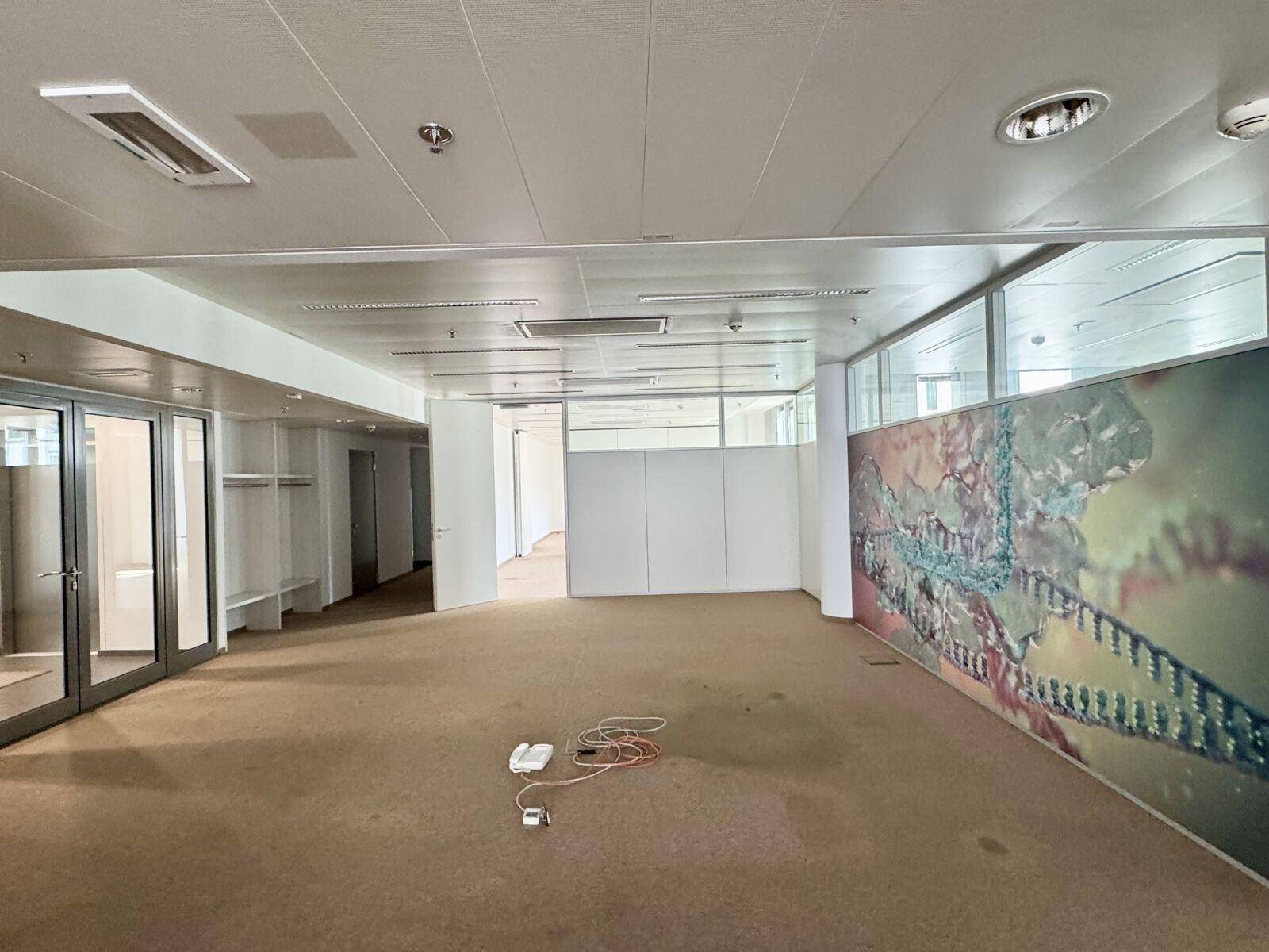Geräumiges, leeres Büro mit Teppichboden, abgehängter Decke und einer dekorativen Wandgestaltung.