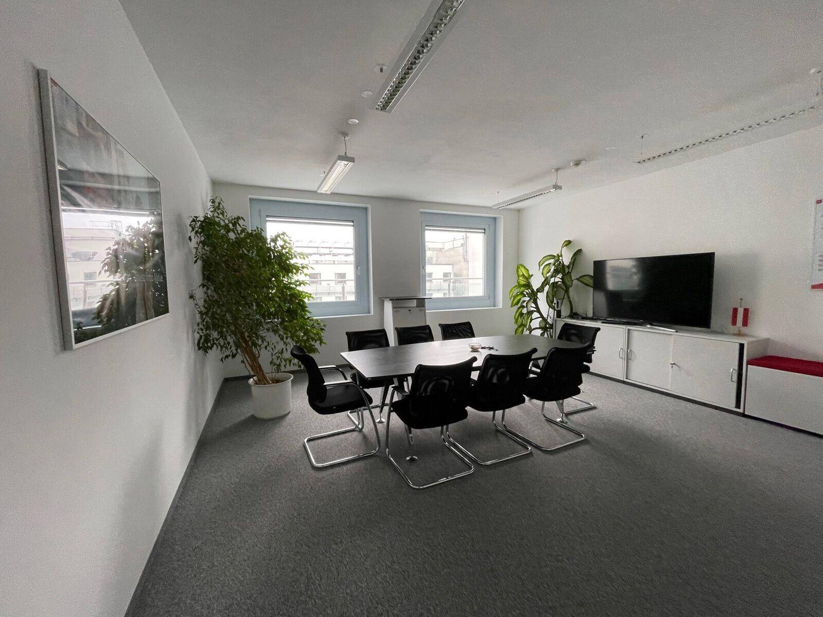 Heller Konferenzraum mit großem Tisch, schwarzen Stühlen, Teppichboden und Pflanzen vor den Fenstern.