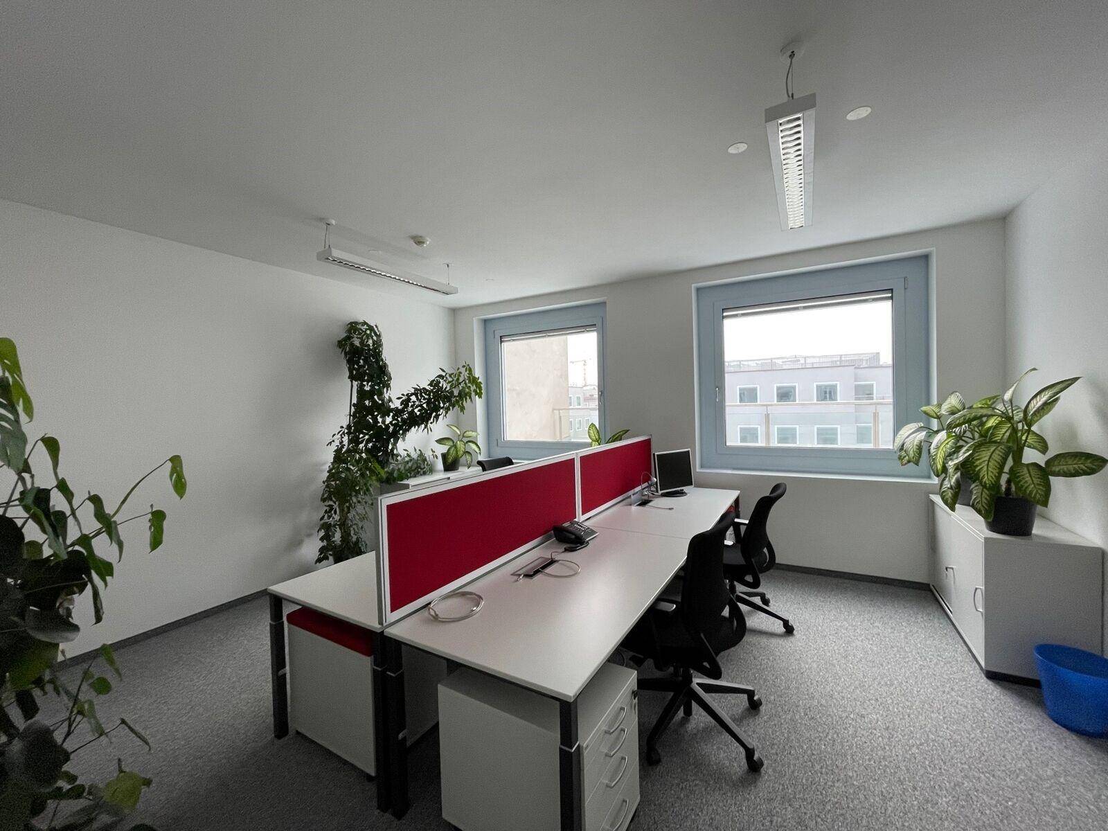 Modern eingerichteter Büroraum mit mehreren Arbeitsplätzen, Pflanzen und Teppichboden vor großen Fenstern.