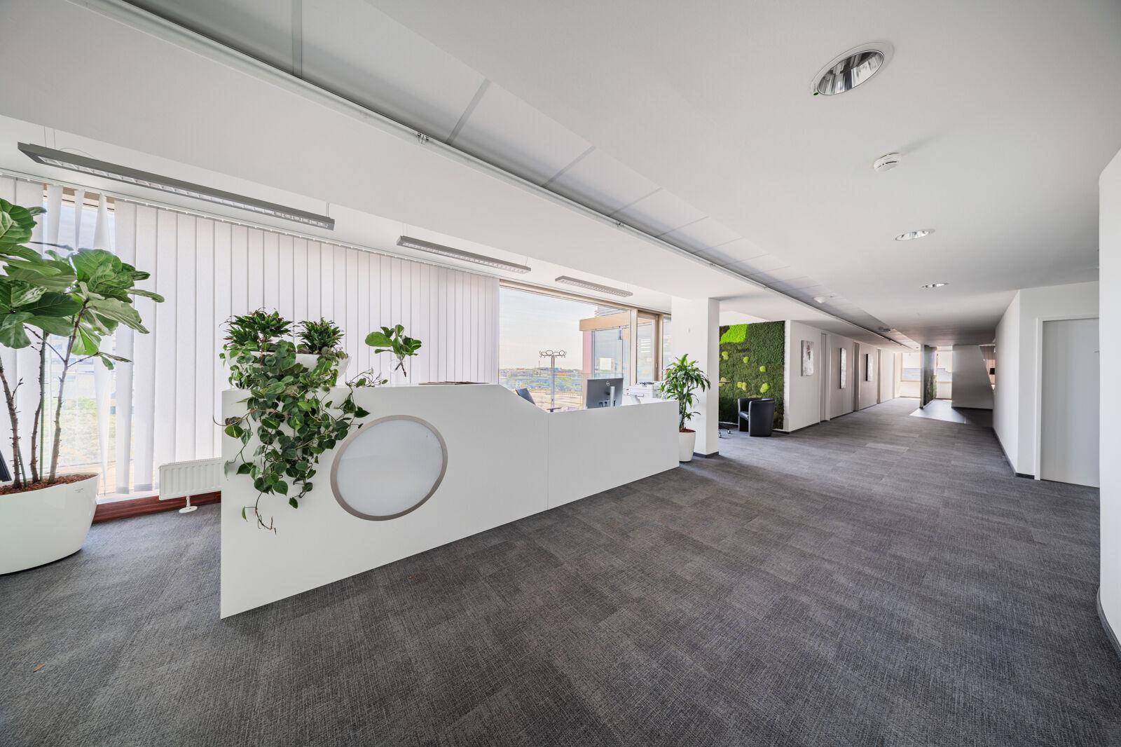 Heller Empfangsbereich mit modernem Schreibtisch, Pflanzen und Teppichboden in einem Bürogebäude.