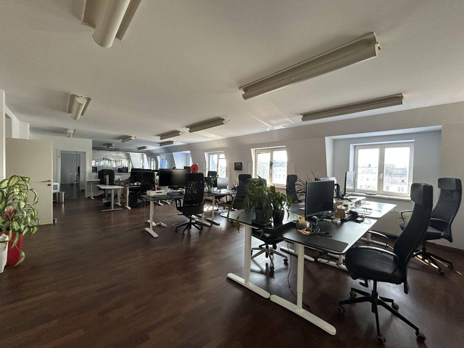 Geräumiges Großraumbüro mit vielen Arbeitsplätzen, dunklem Laminatboden und Pflanzen als Dekoration.