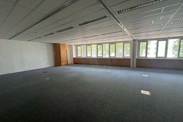 Geräumiges Büro mit Teppichboden, abgehängter Decke und großen Fenstern mit Blick ins Grüne.