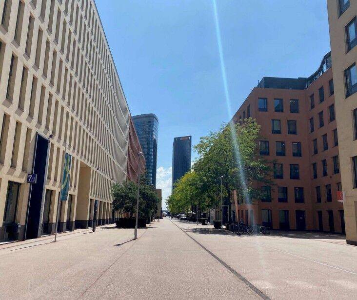 Eine breite Straße zwischen modernen Bürogebäuden mit Bäumen und einem klaren blauen Himmel.