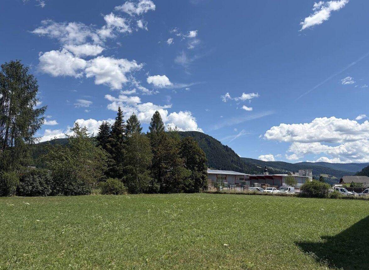Weitläufige Grünfläche mit Bäumen und Bergen im Hintergrund unter einem strahlend blauen Himmel.