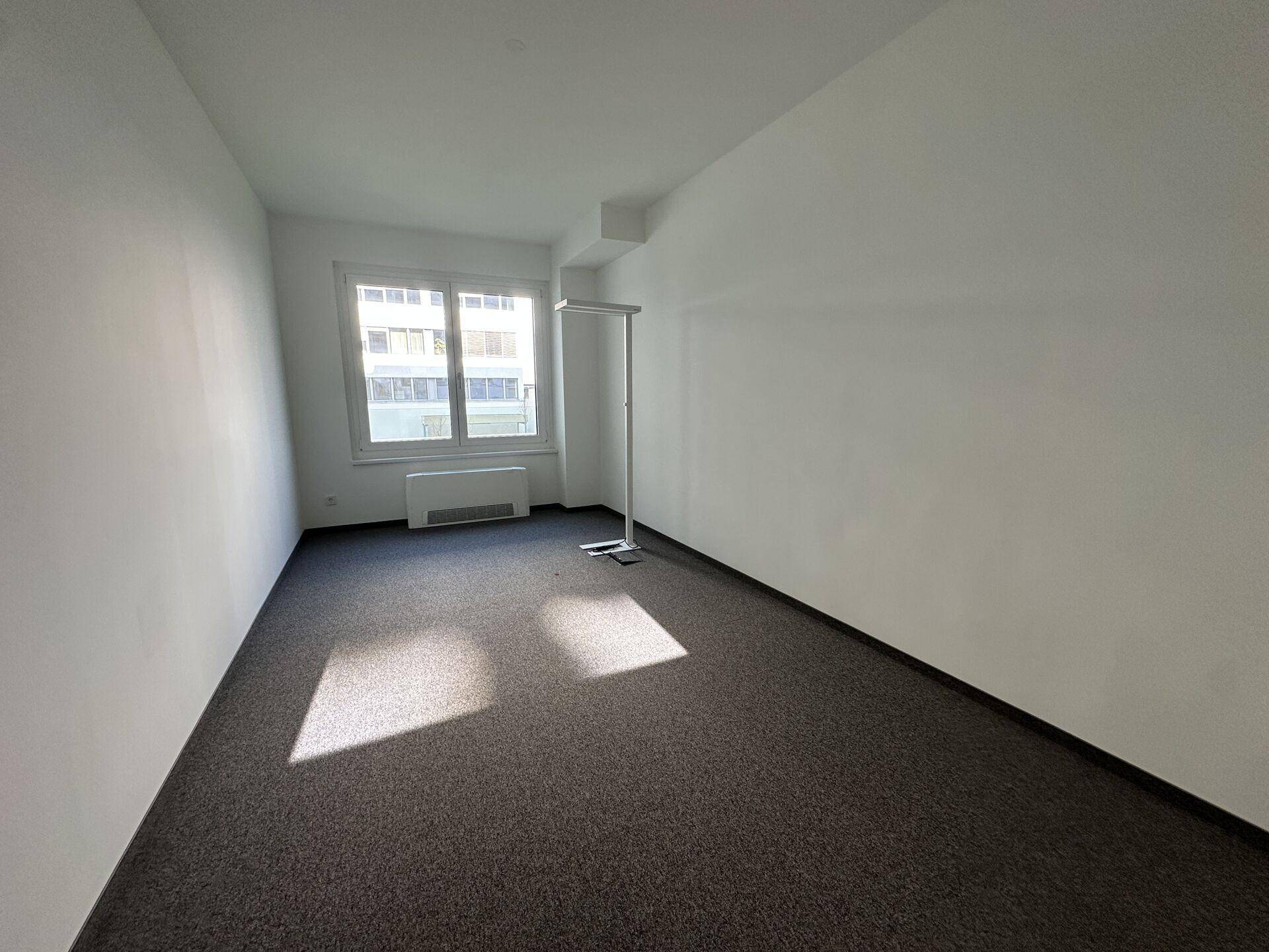 Leeres Bürozimmer mit Teppichboden, weißen Wänden und einem Fenster mit Blick auf ein Gebäude.