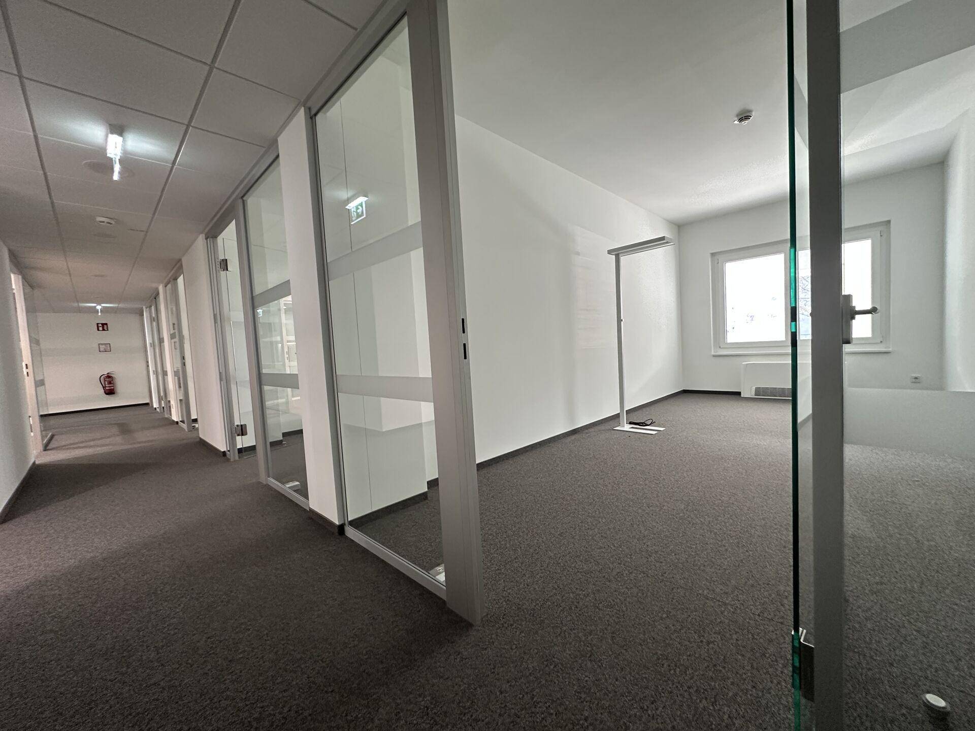 Büroflur mit Glaswänden, der in ein leeres Bürozimmer mit Teppichboden und Fenstern führt.