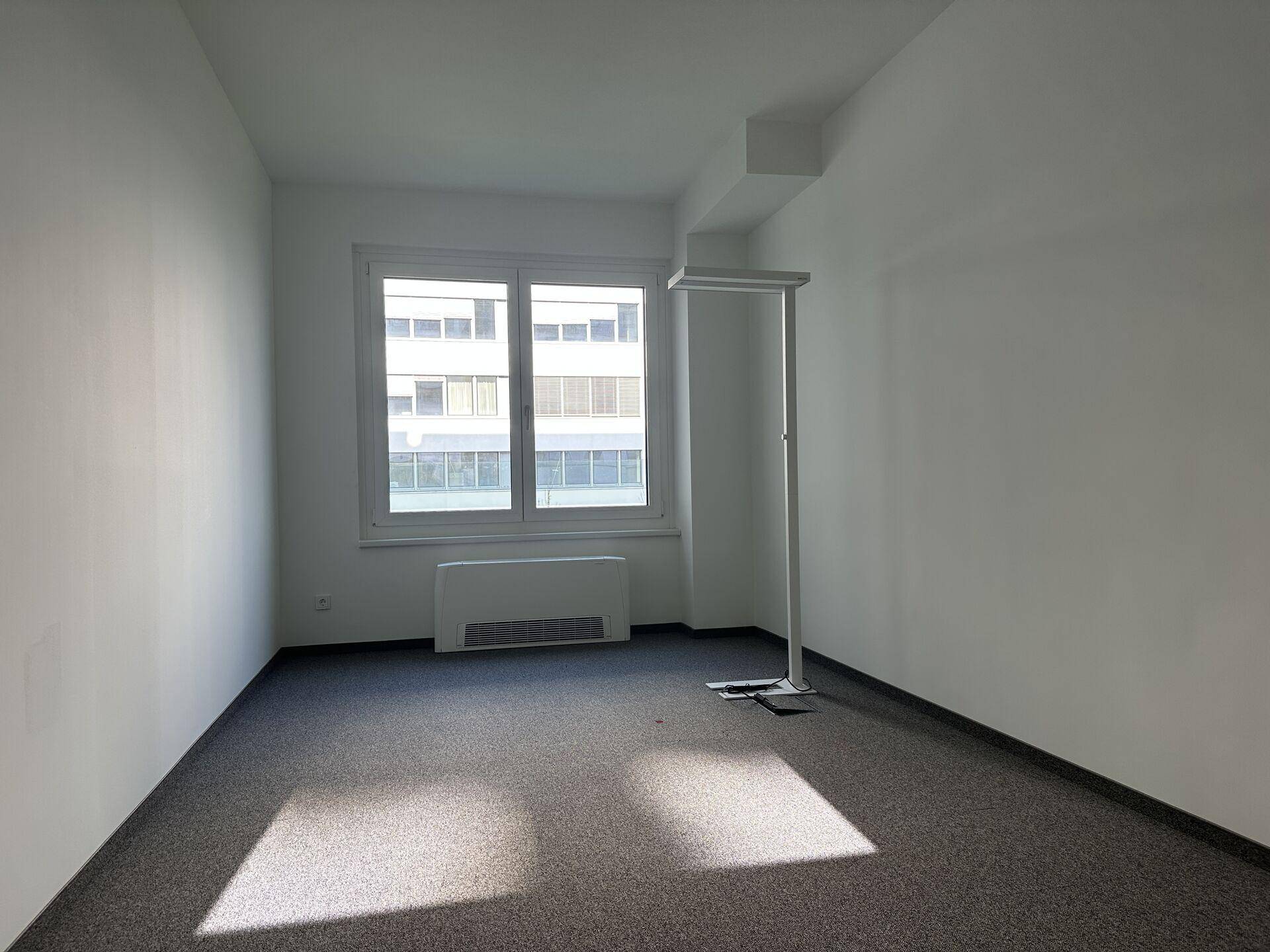 Leeres Bürozimmer mit Teppichboden, weißen Wänden und einem Fenster mit Blick auf ein Gebäude.