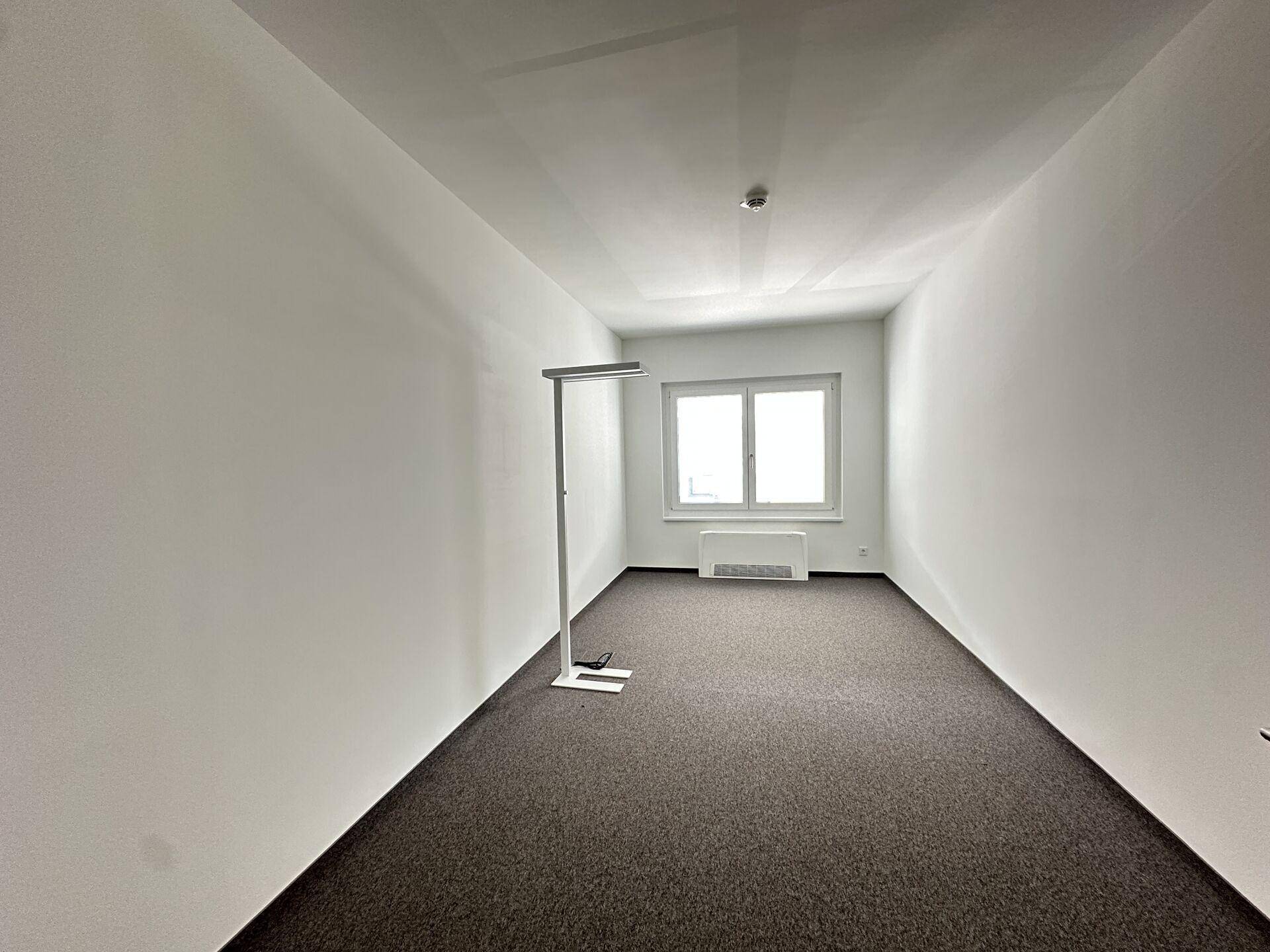 Schlichter Büroraum mit Teppichboden und einem Fenster, das den Raum mit Tageslicht versorgt.