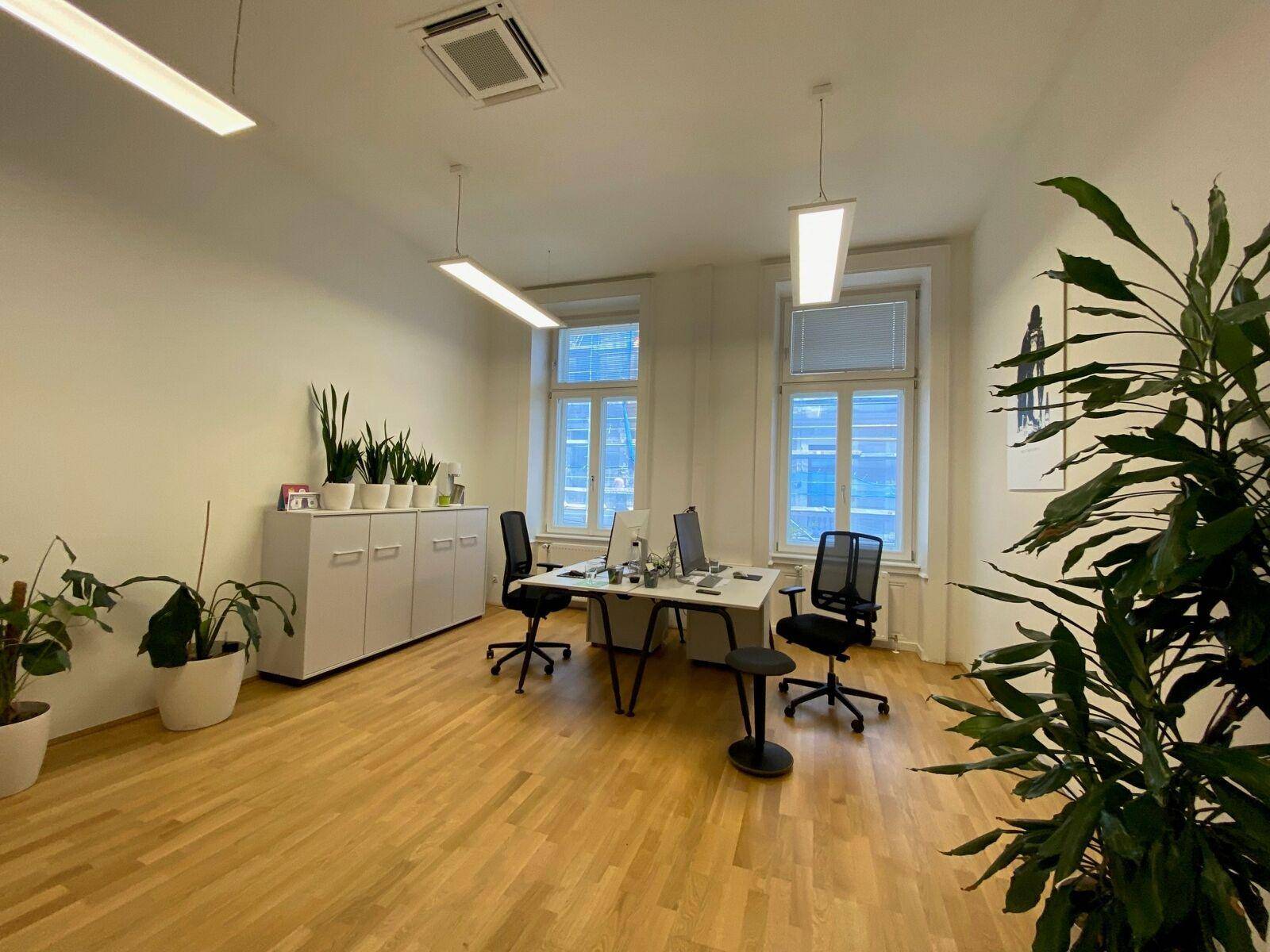 Helles Büro mit zwei Arbeitsplätzen, großen Fenstern, Holzfußboden und vielen Grünpflanzen.