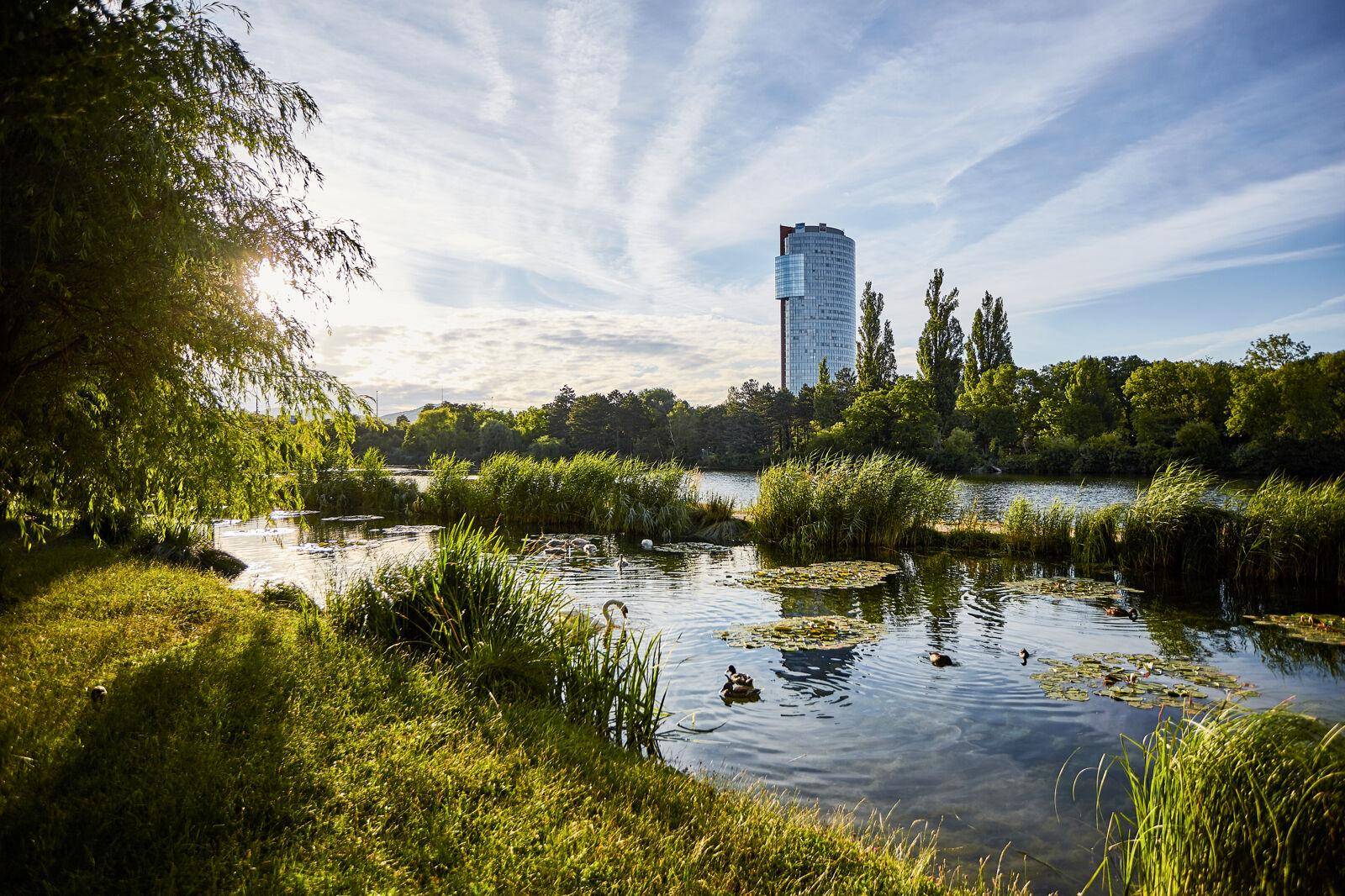 Malerische Seenlandschaft mit Schilf, Bäumen und einem modernen Hochhaus im Hintergrund.