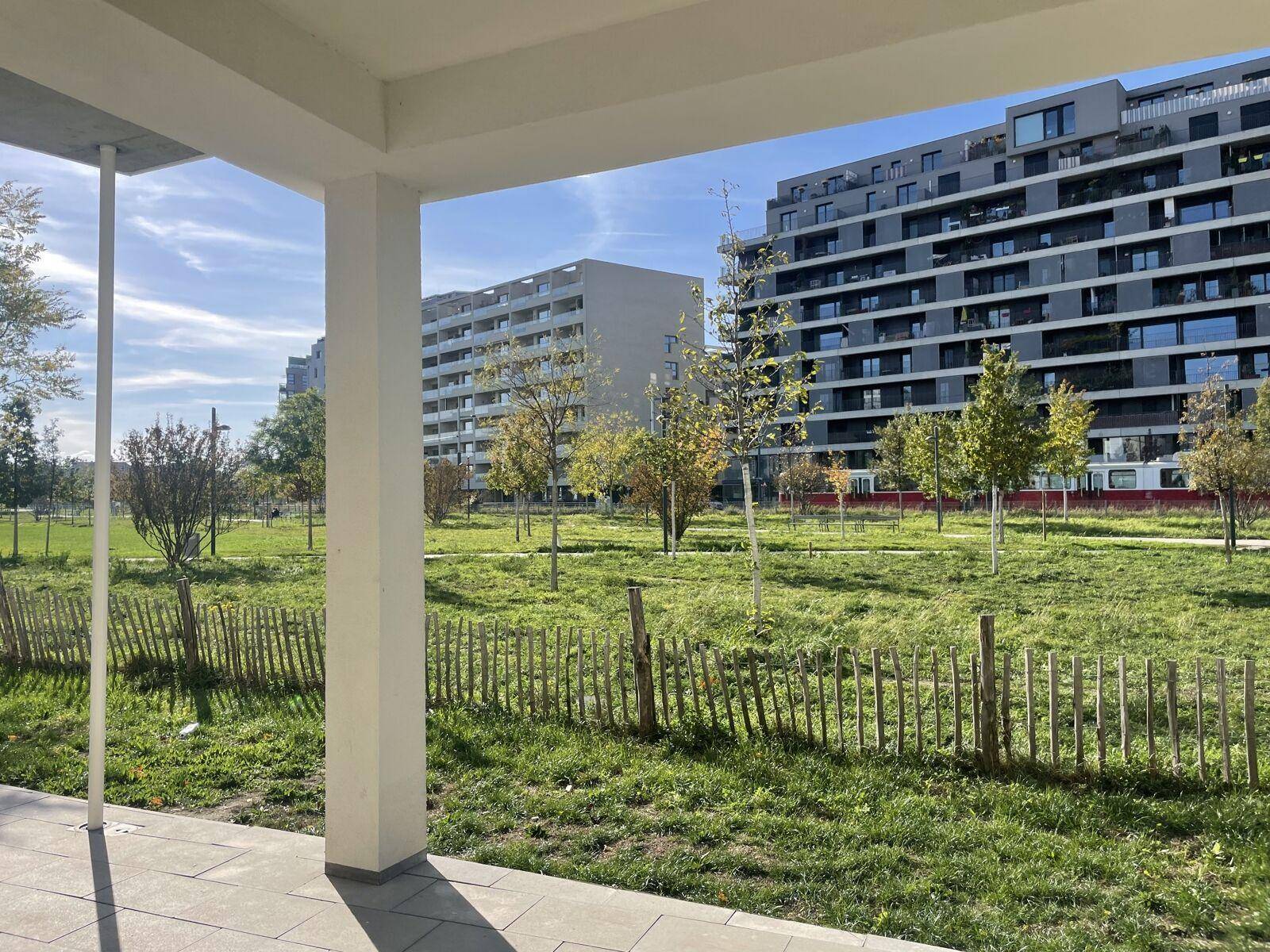Blick von einer überdachten Terrasse auf eine weitläufige Grünfläche mit Bäumen und modernen Wohngebäuden im Hintergrund.