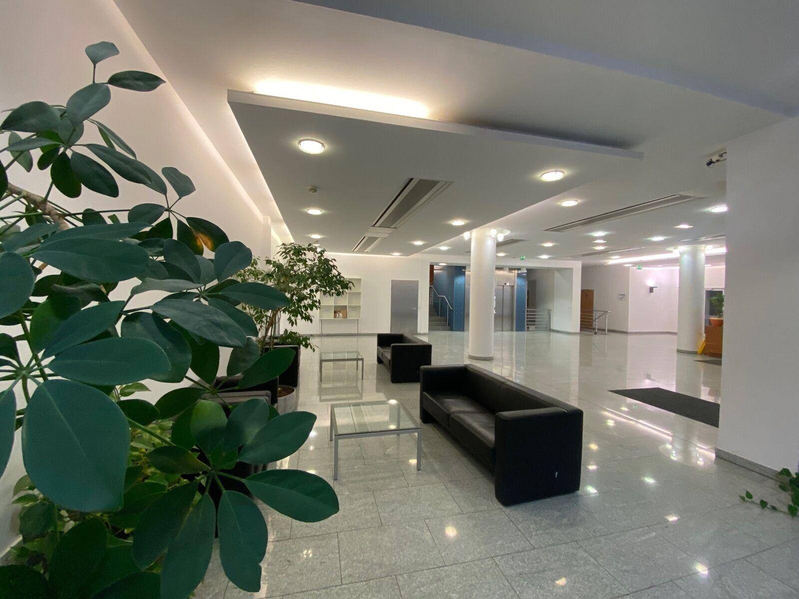 Weitläufige Lobby mit glänzendem Boden, bequemen schwarzen Sofas und großen Pflanzen als Dekorationselemente.