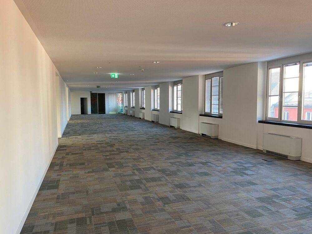 Großer, leerer Büroraum mit Teppichboden, vielen Fenstern und natürlichem Lichteinfall.