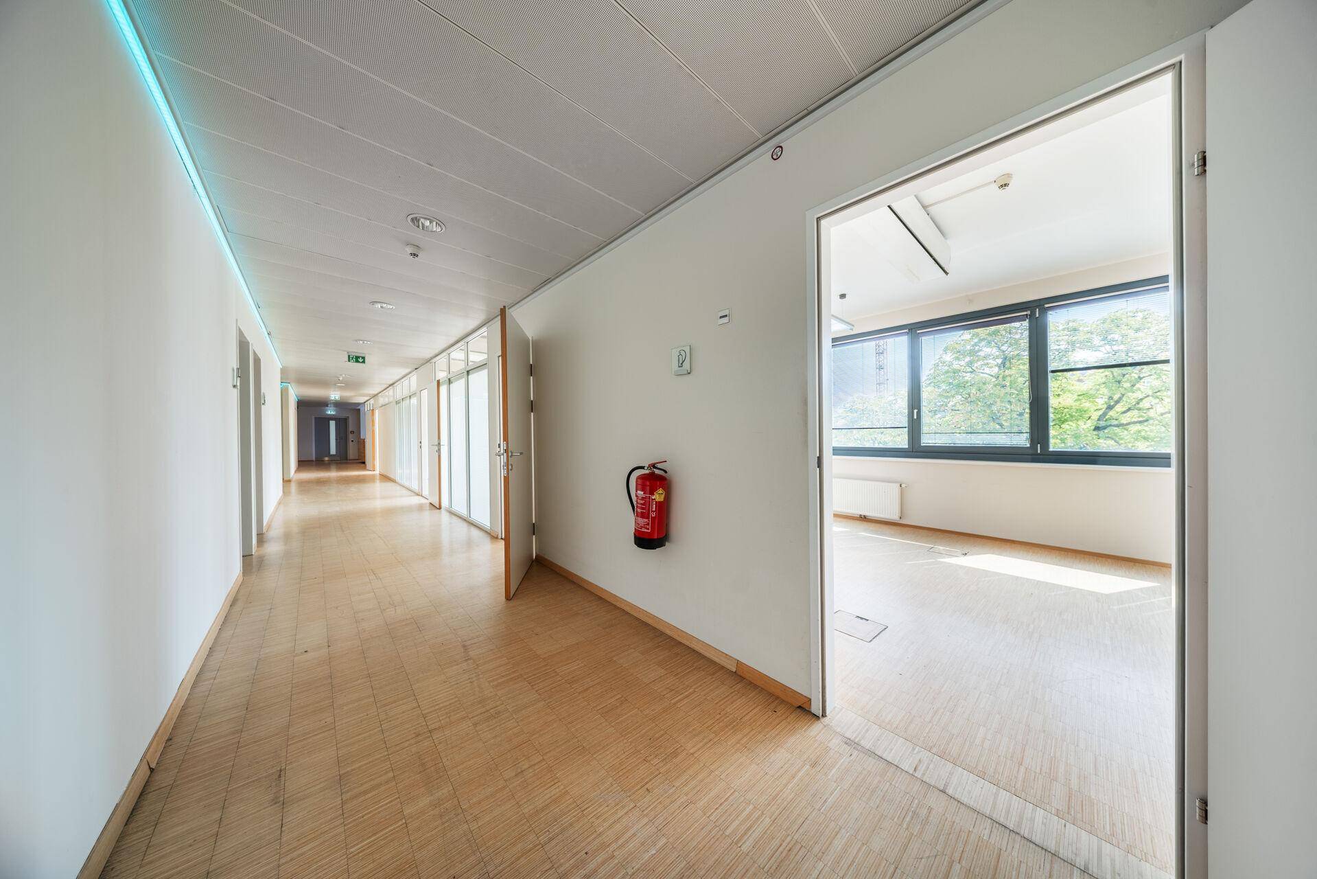 Langer, heller Flur mit Holzboden, weißen Wänden und Türen zu Büroräumen.