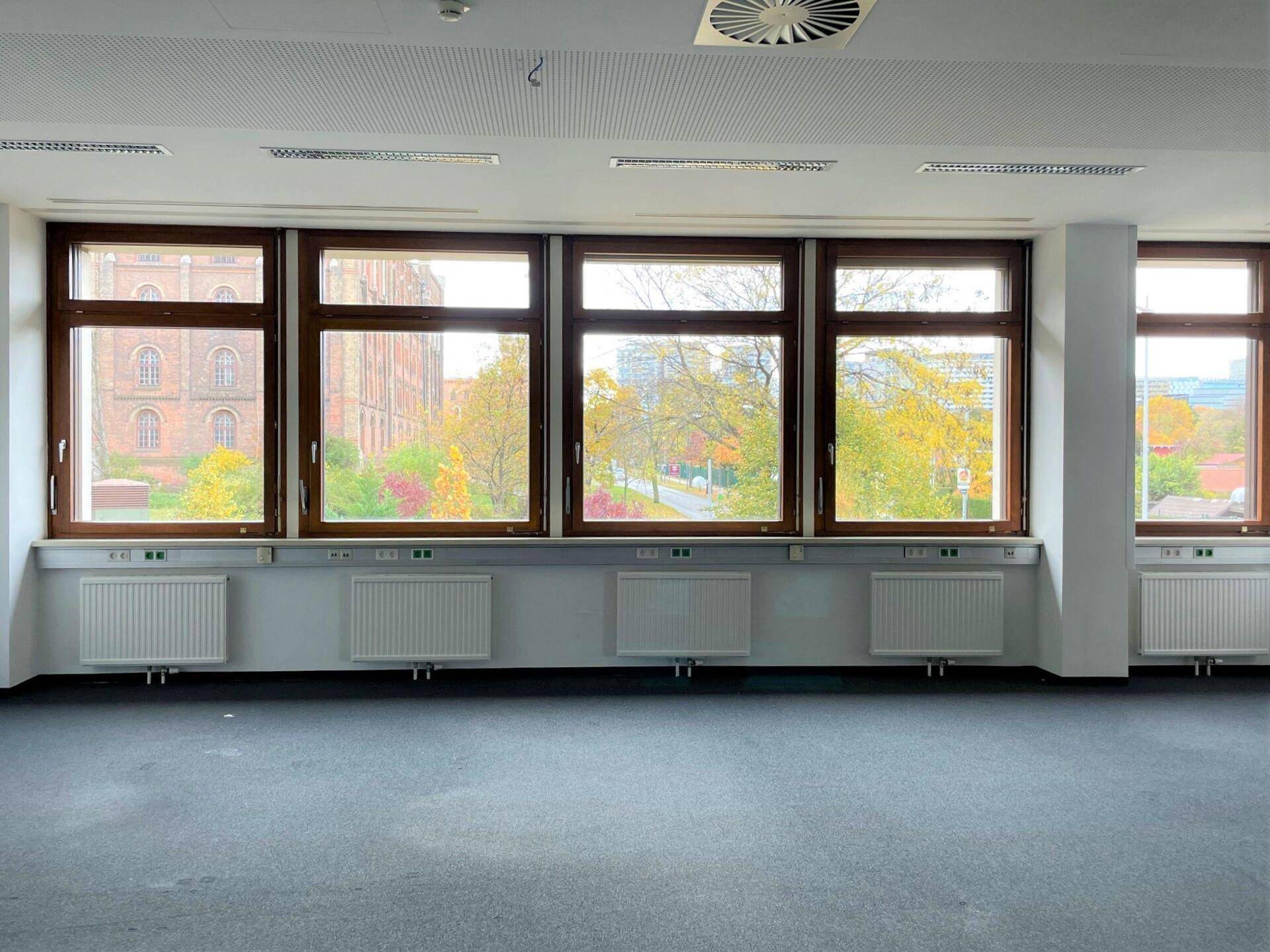 Büroraum mit Teppichboden, großen Fenstern mit Blick ins Grüne und Heizkörpern unter den Fensterbänken.